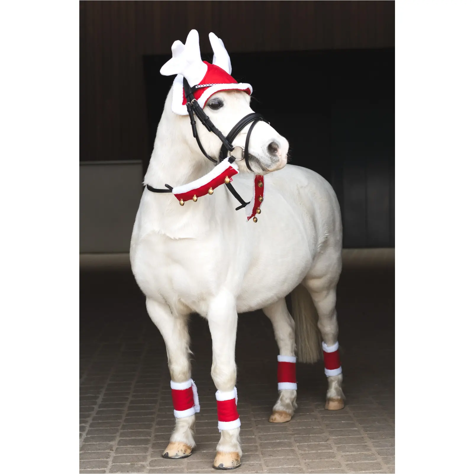 Weihnachtsgamaschen CHRISTMAS (4er Set) rot/weiß Weihnachtsgamaschen CHRISTMAS (4er Set) rot/weiß