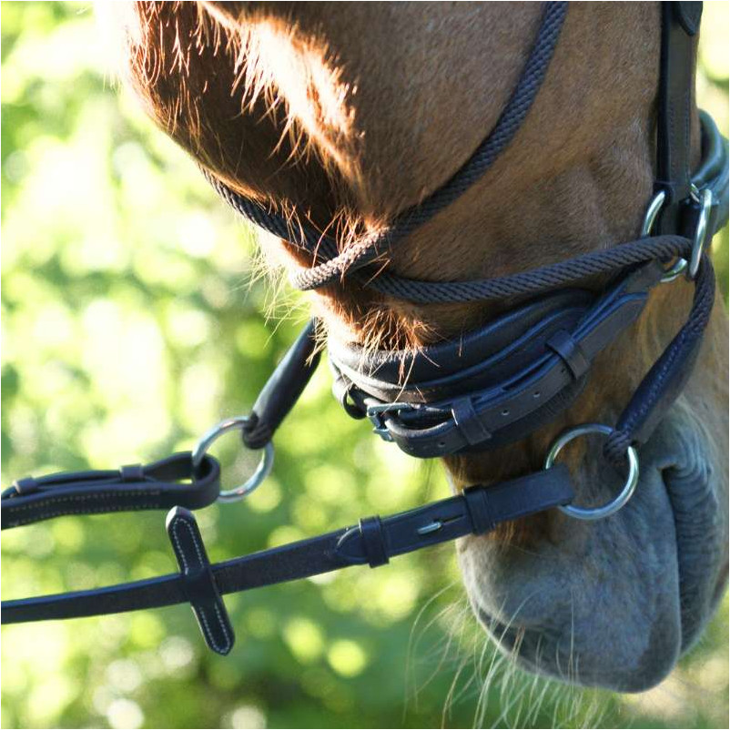 Trensenzaum Gebisslos CROSS LIGHT braun