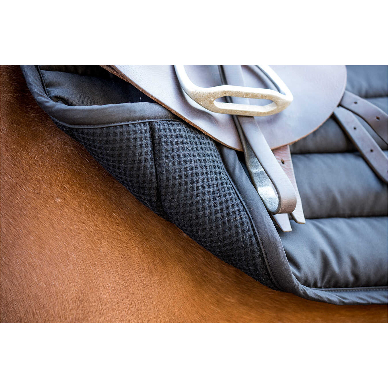 Schabracke BIG PAD schwarz Warmblut