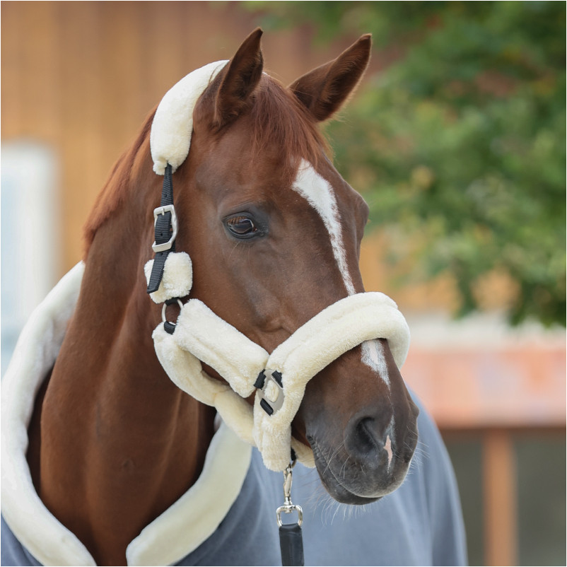 Transporthalfter mit Kunstfell Vegan schwarz/beige