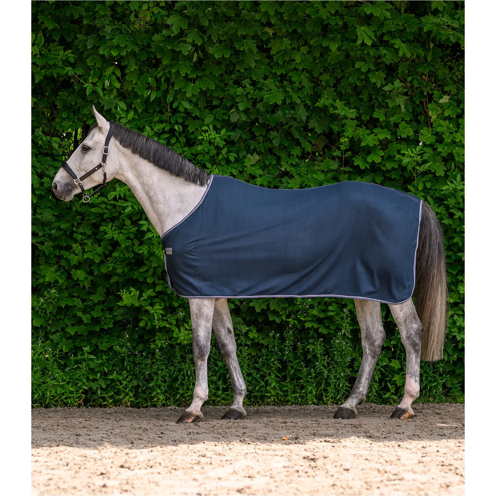 Fleecedecke ECONOMIC nachtblau