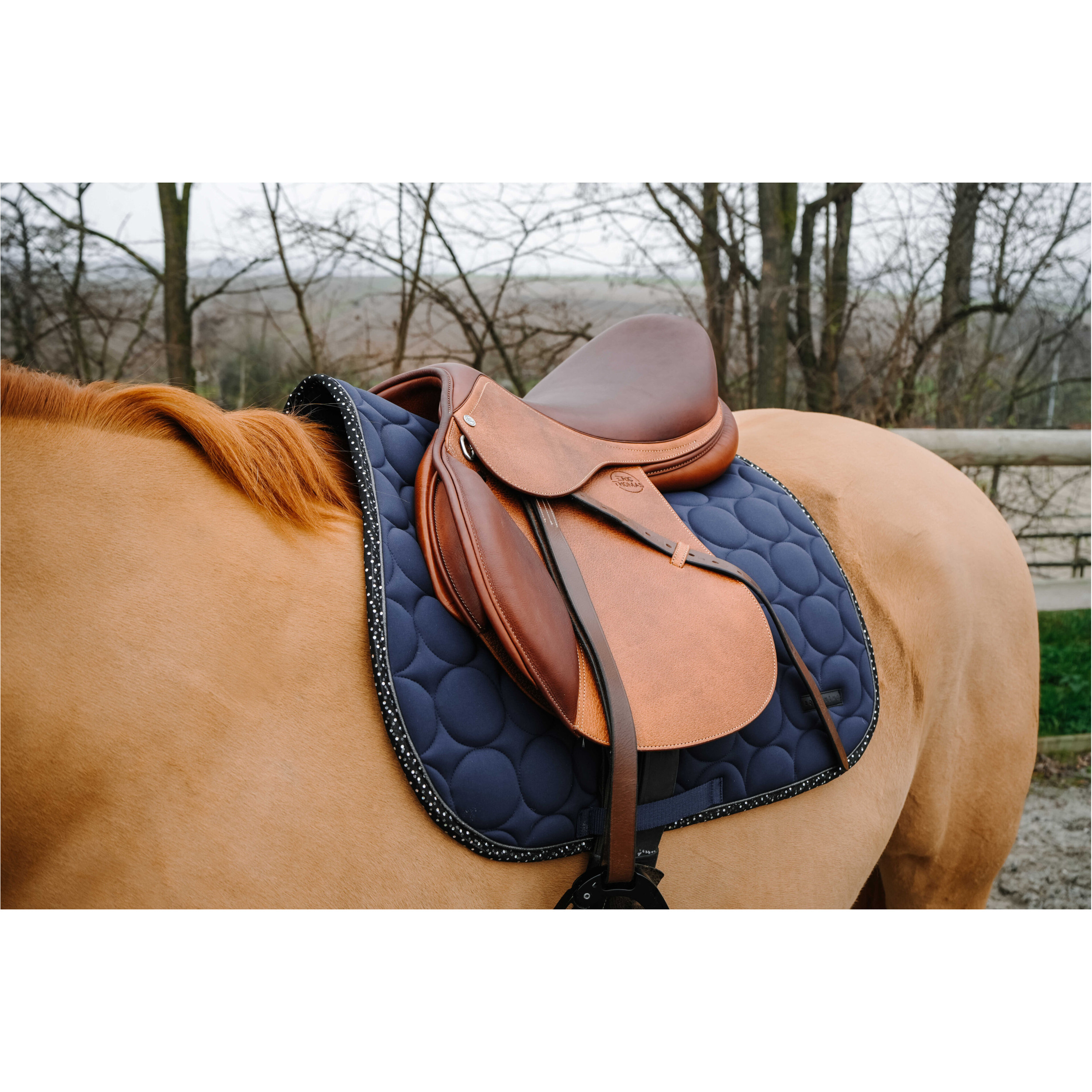 Schabracke DISCO navy Warmblut Vielseitigkeit