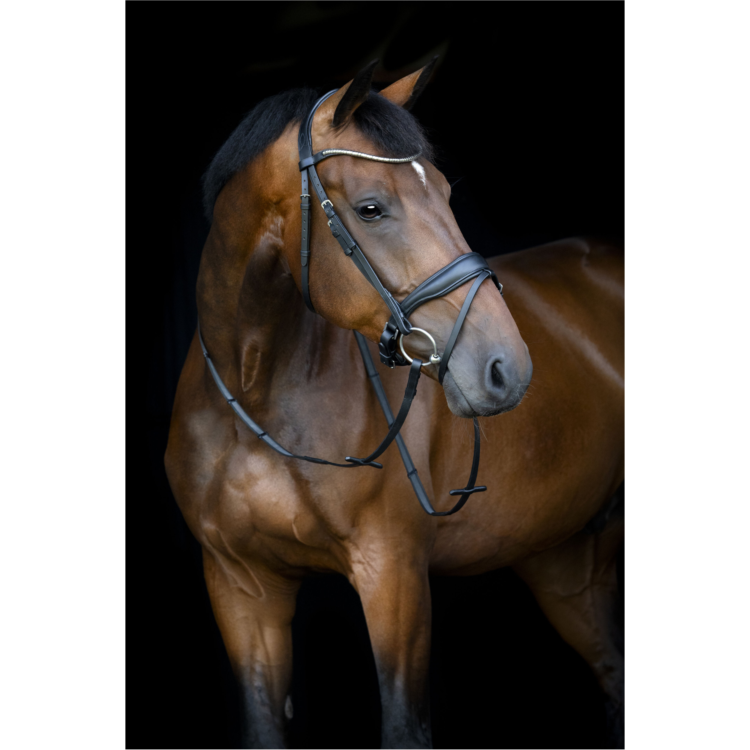 Trensenzaum schwedisch kombiniert CRYLL 26.1 schwarz