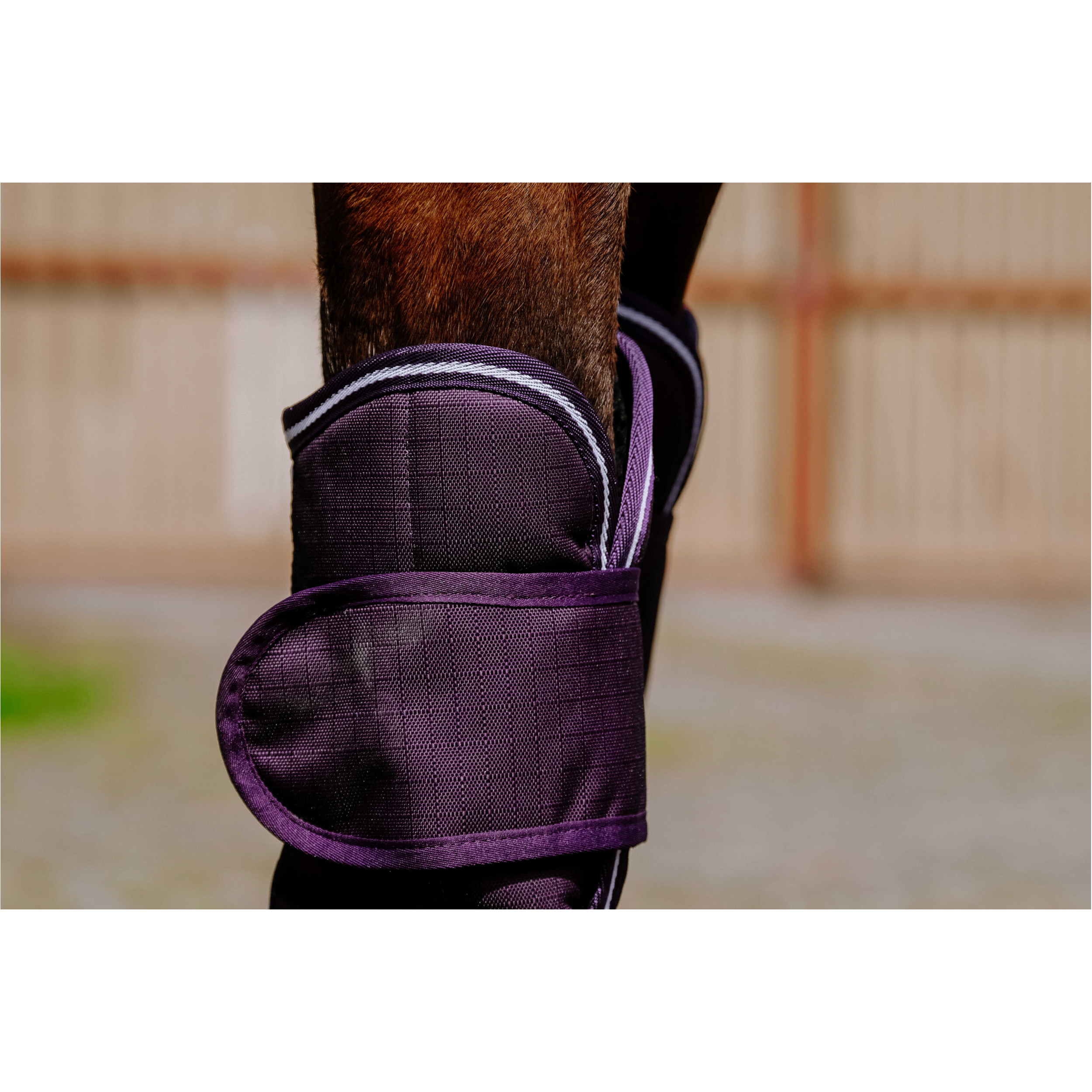 Transportgamaschen 600D TYREX pflaumenfarben