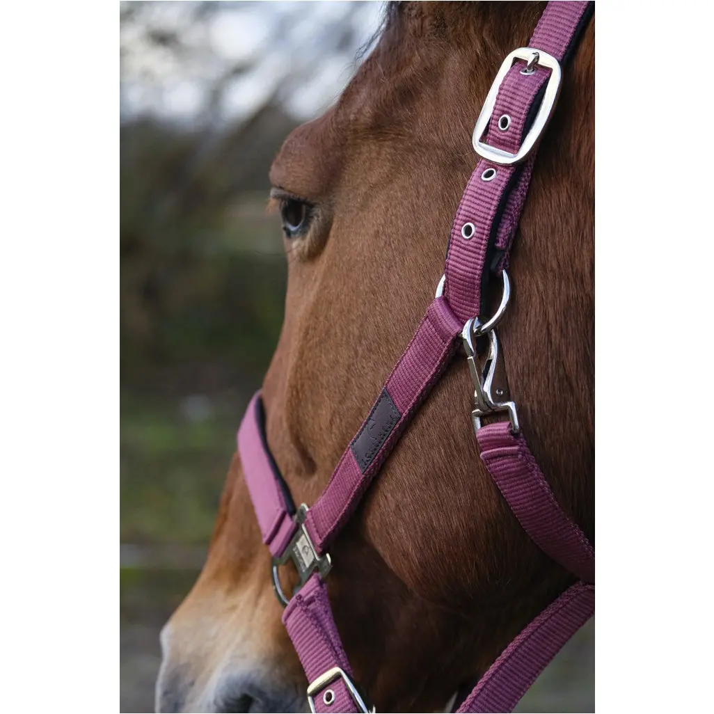 Nylonhalfter SPRING rosa