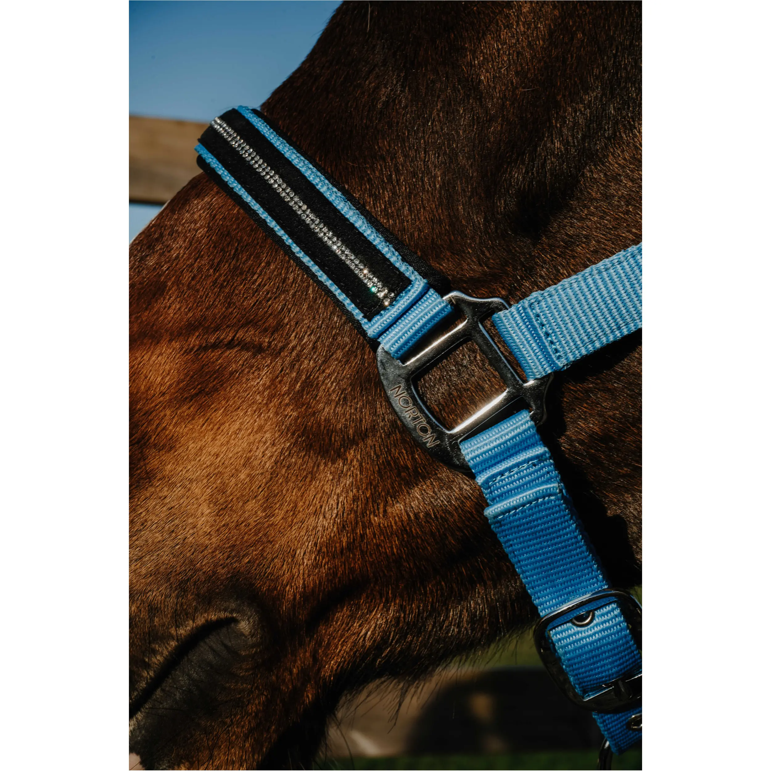 Halfter CRYSTAL himmelblau