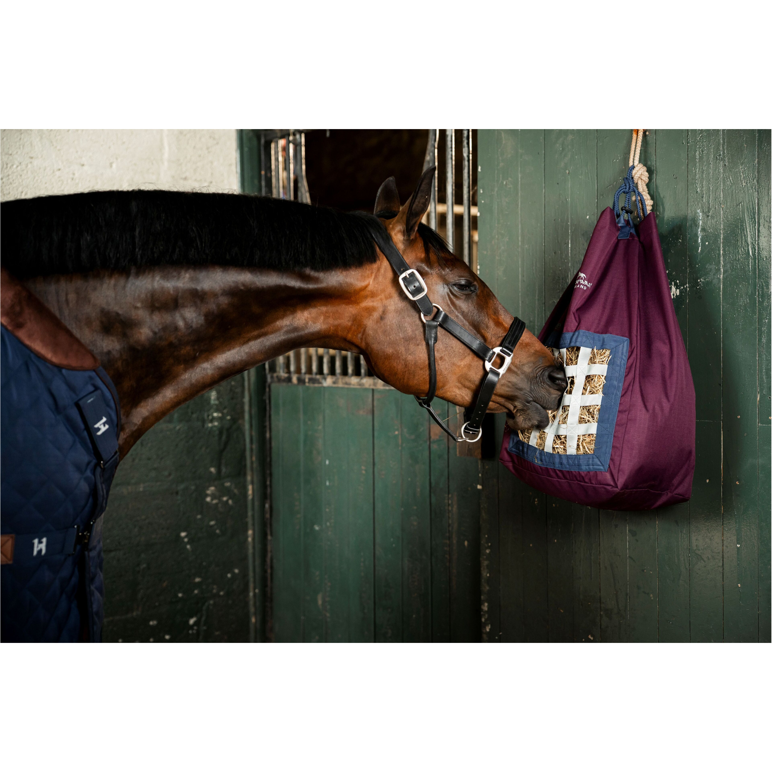 Heunetz REVIVE fig/navy/silver