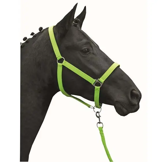 Halfter unterlegt STARS SOFTICE neon grün Halfter unterlegt STARS SOFTICE neon grün