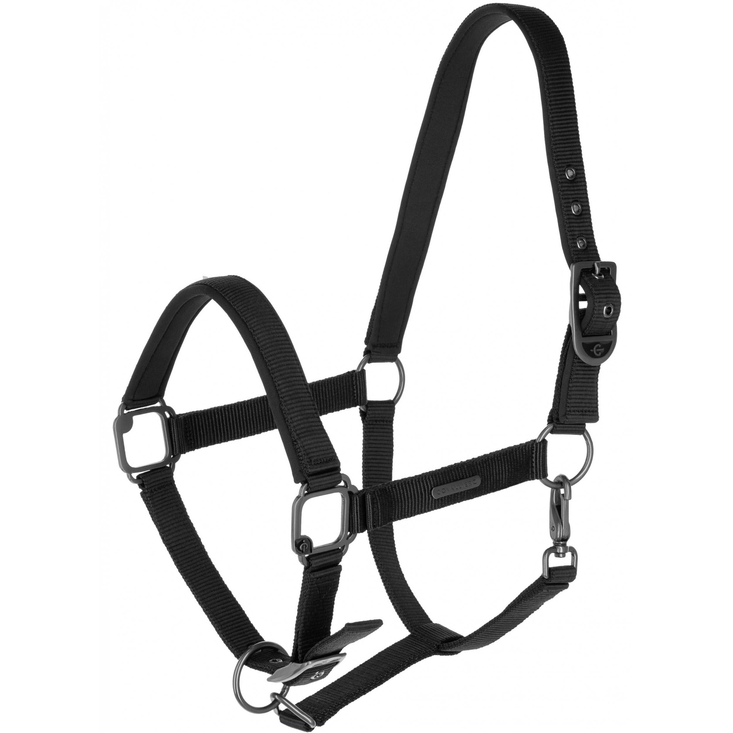 Halfter F/S 2025 black