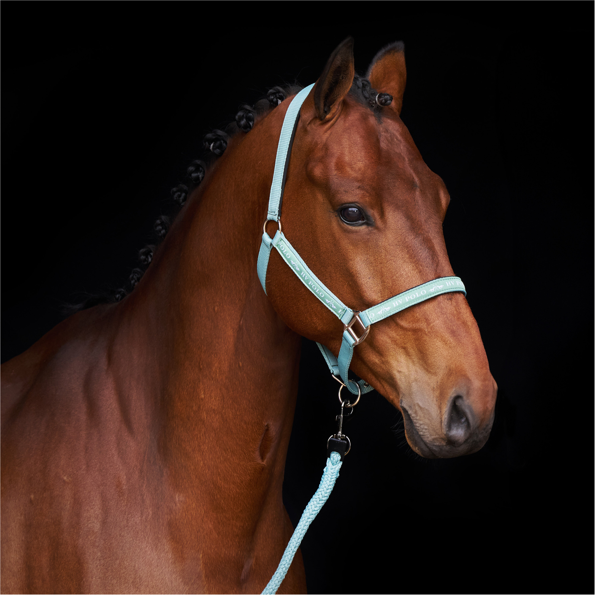 Halfter HVPNena aqua sky