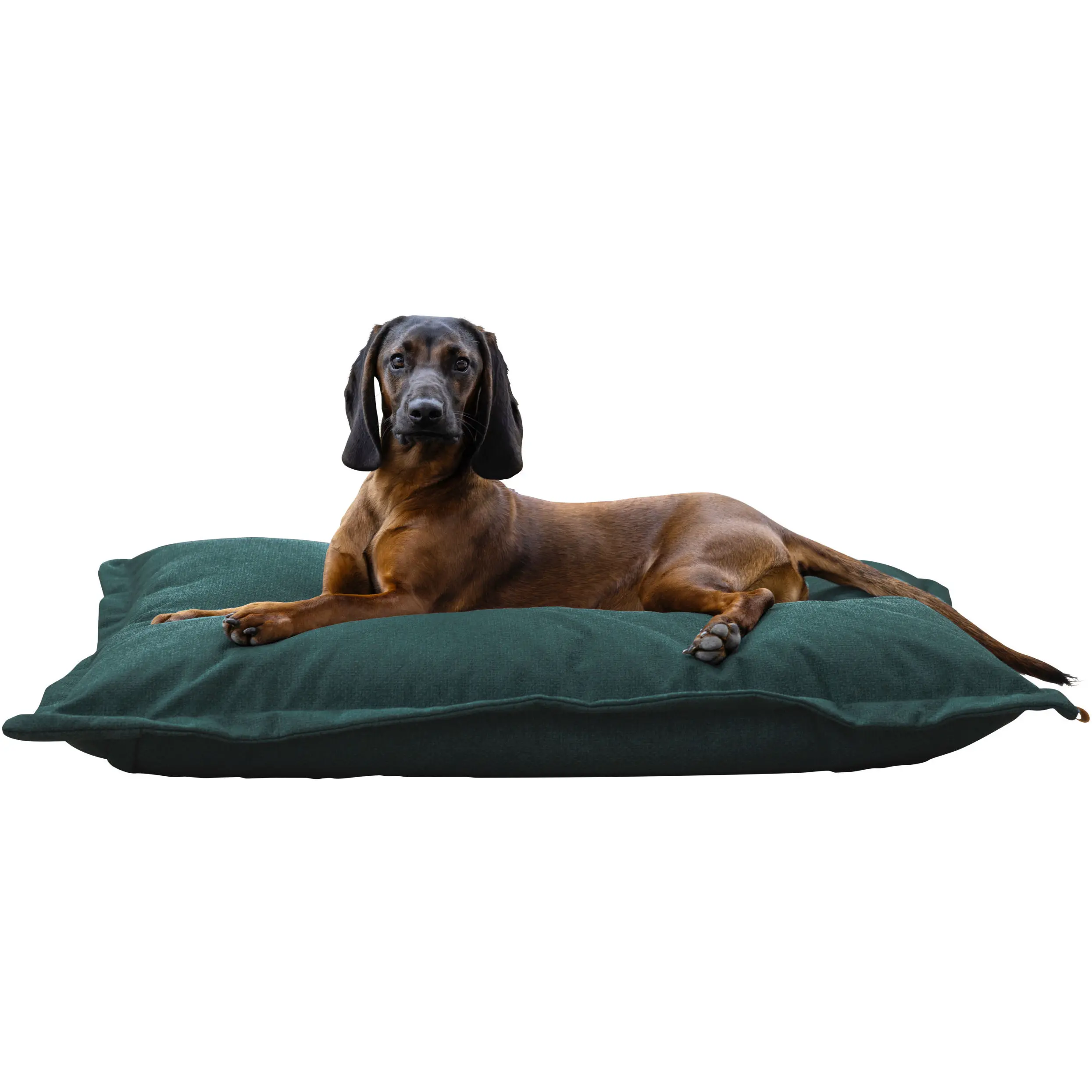 Kuschelsack OLIVER english green