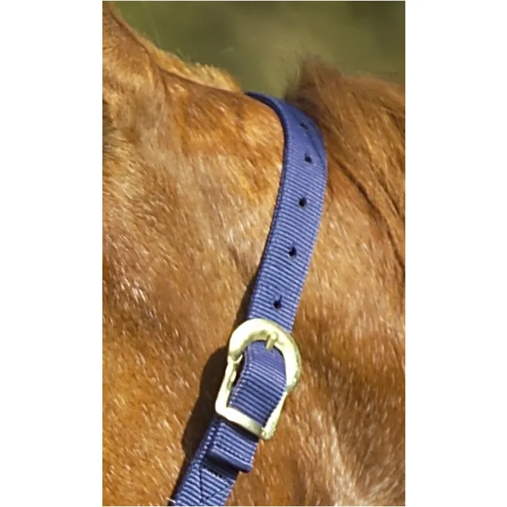 Nylonhalfter doppelt gelegt mit Schnallen marineblau