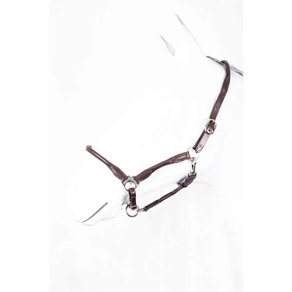 Halfter rundgenäht BASICLINE Leder braun