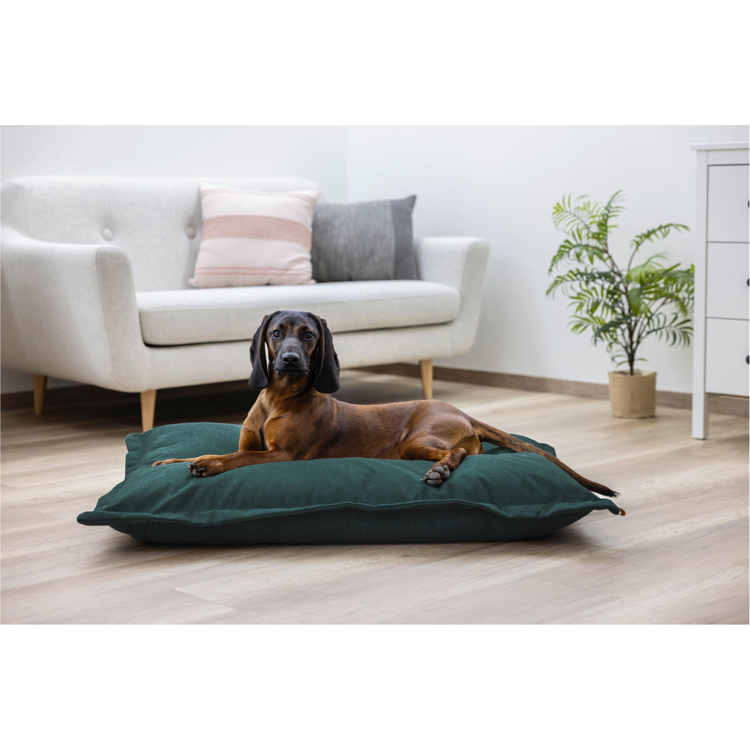 Kuschelsack OLIVER english green