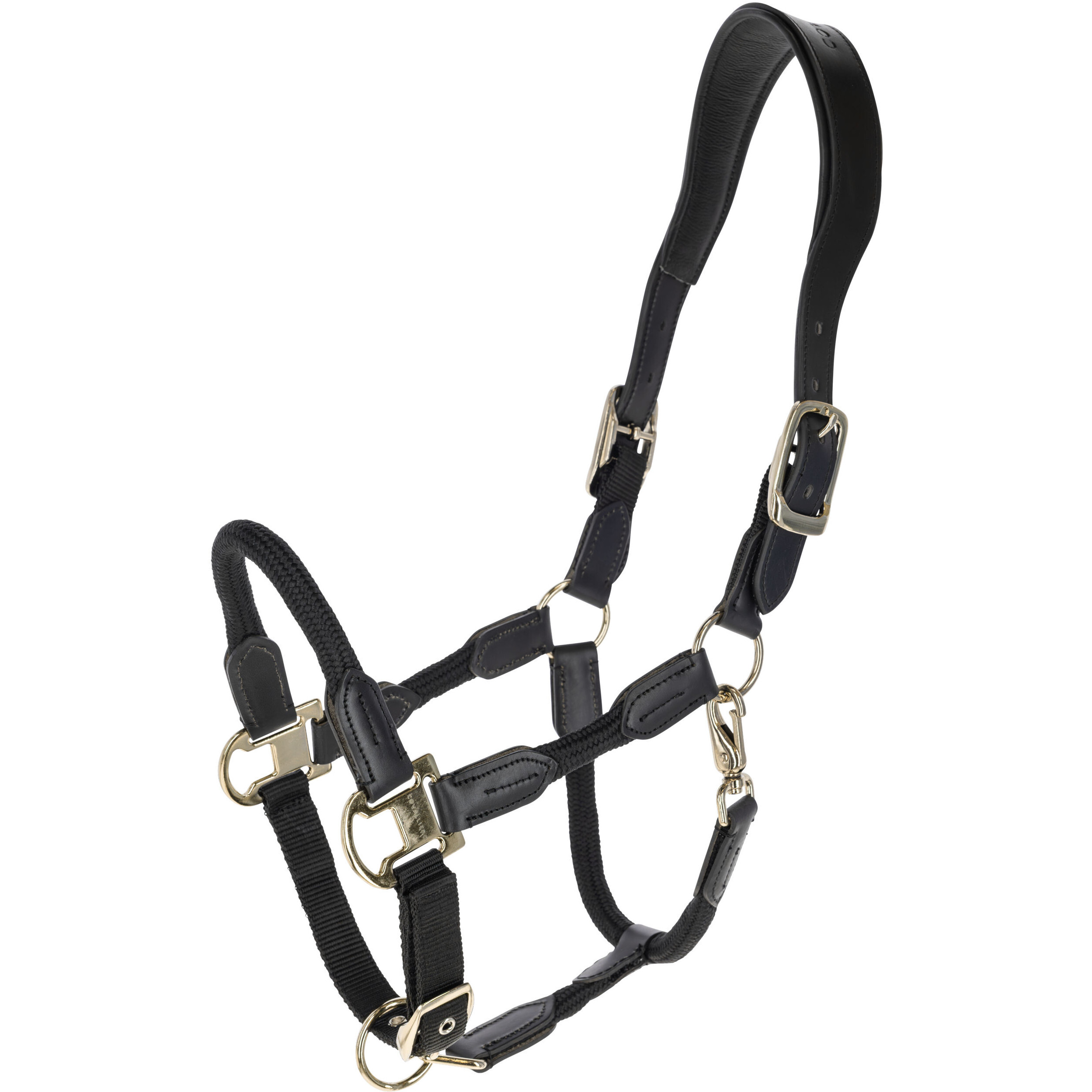 Halfter CORDANO Deluxe F/S 2026 black Halfter CORDANO Deluxe F/S 2026 black