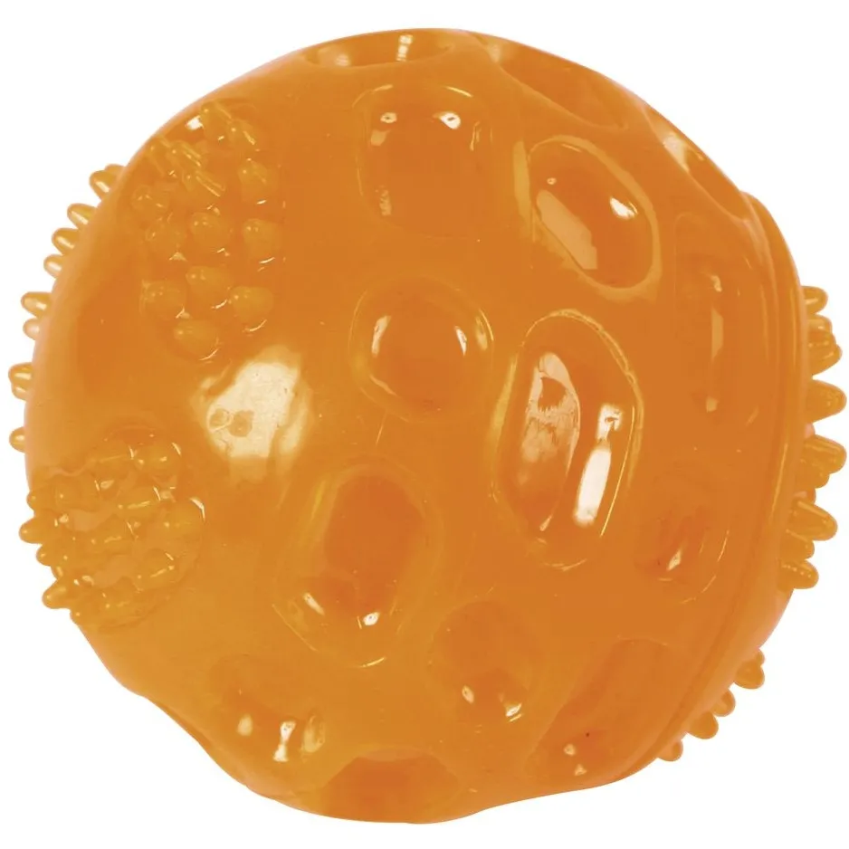 Ball TOYFASTIC SQUEAKY orange