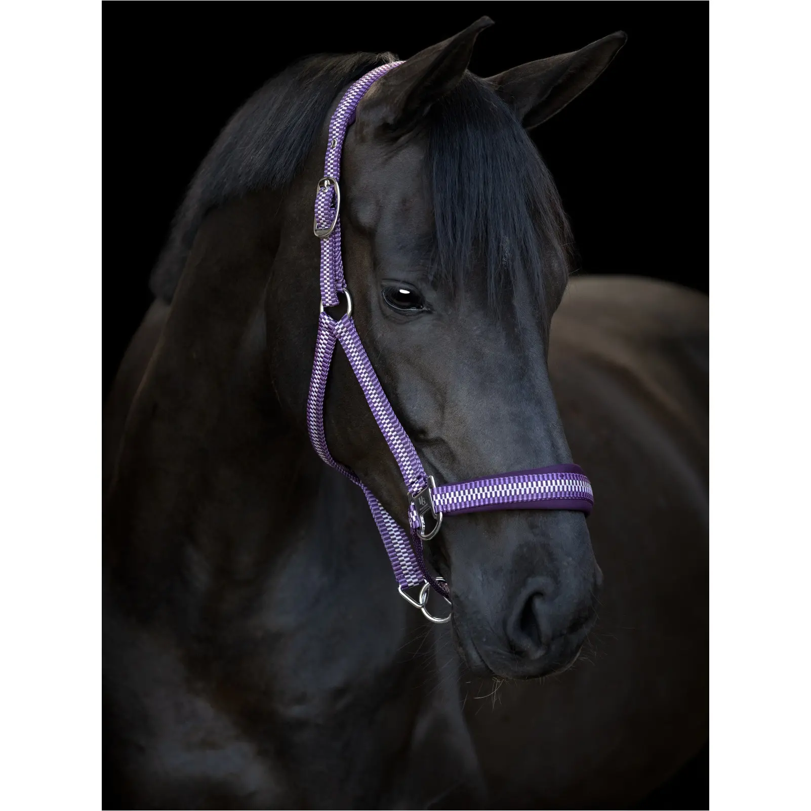 Halfter COLE italian plum