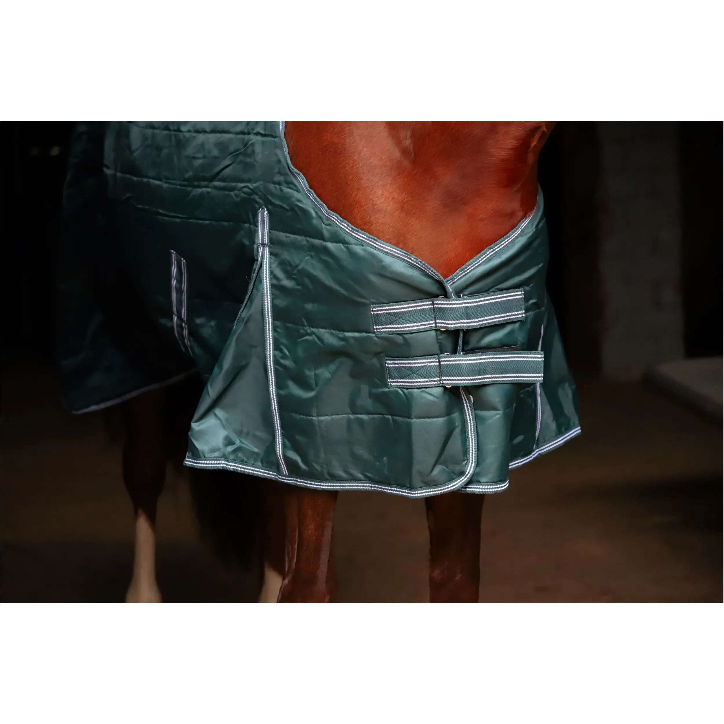 Stalldecke 200g Füllung 420D COMFORT tannengrün Stalldecke 200g Füllung 420D COMFORT tannengrün