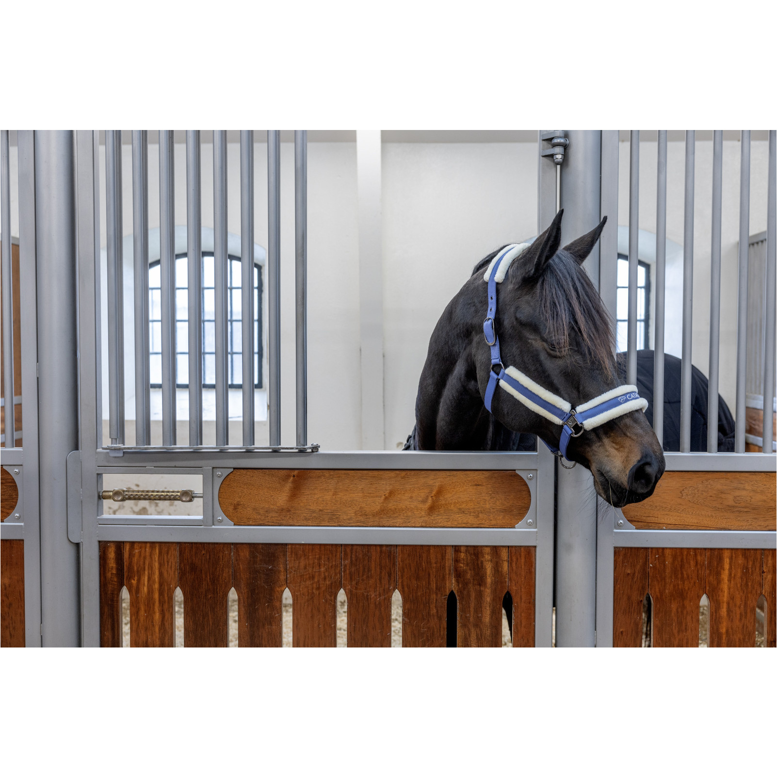 Halfter mit Kunstfell TRACE crown blue