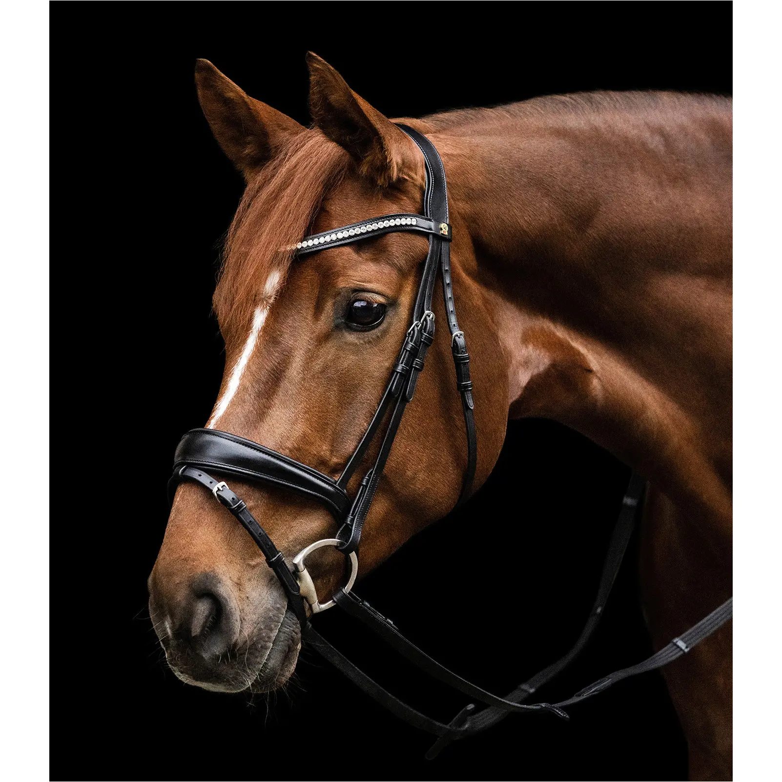 Trensenzaum S-Line ESSENTIAL schwarz