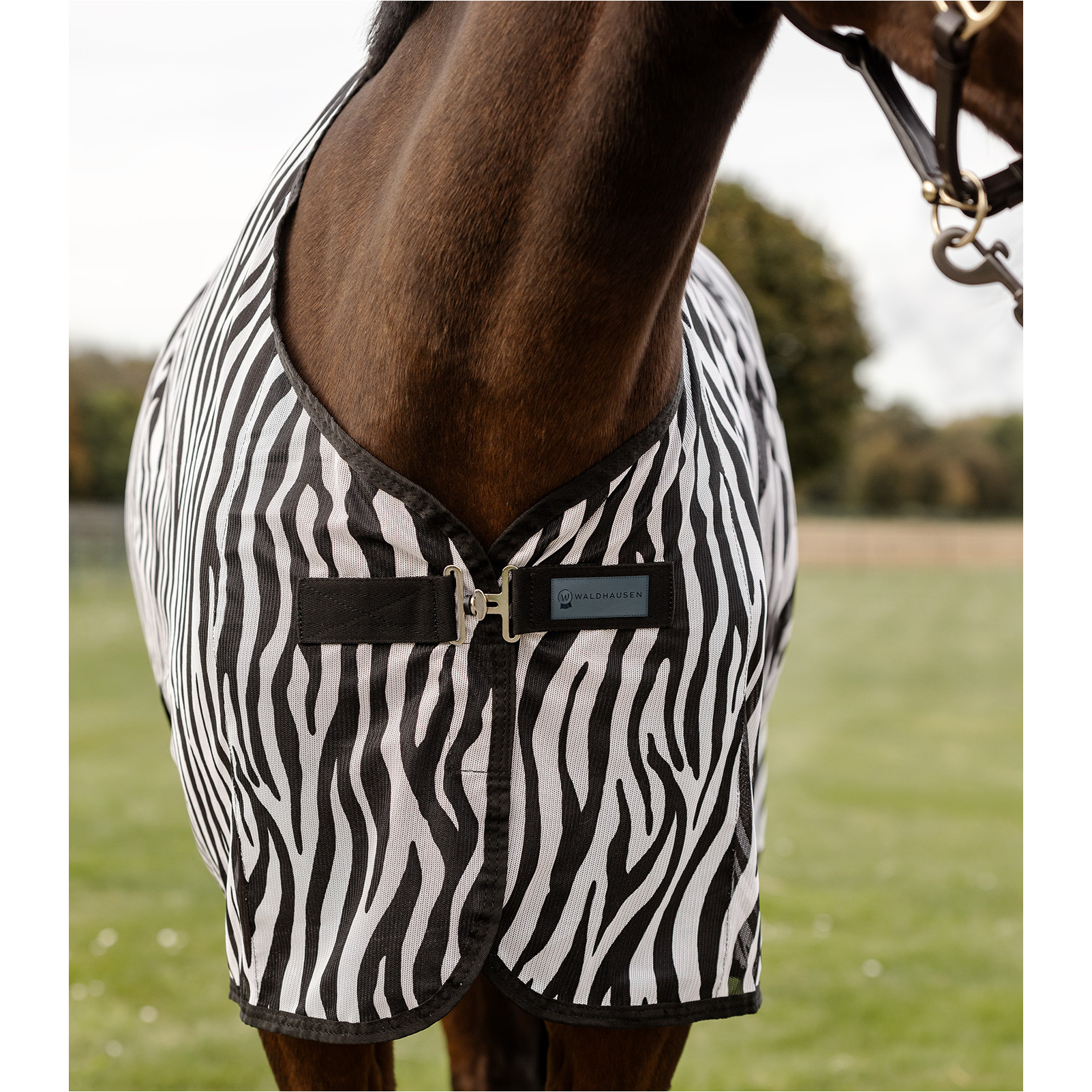 Fliegendecke ZEBRA mit Kreuzgurten schwarz/weiß