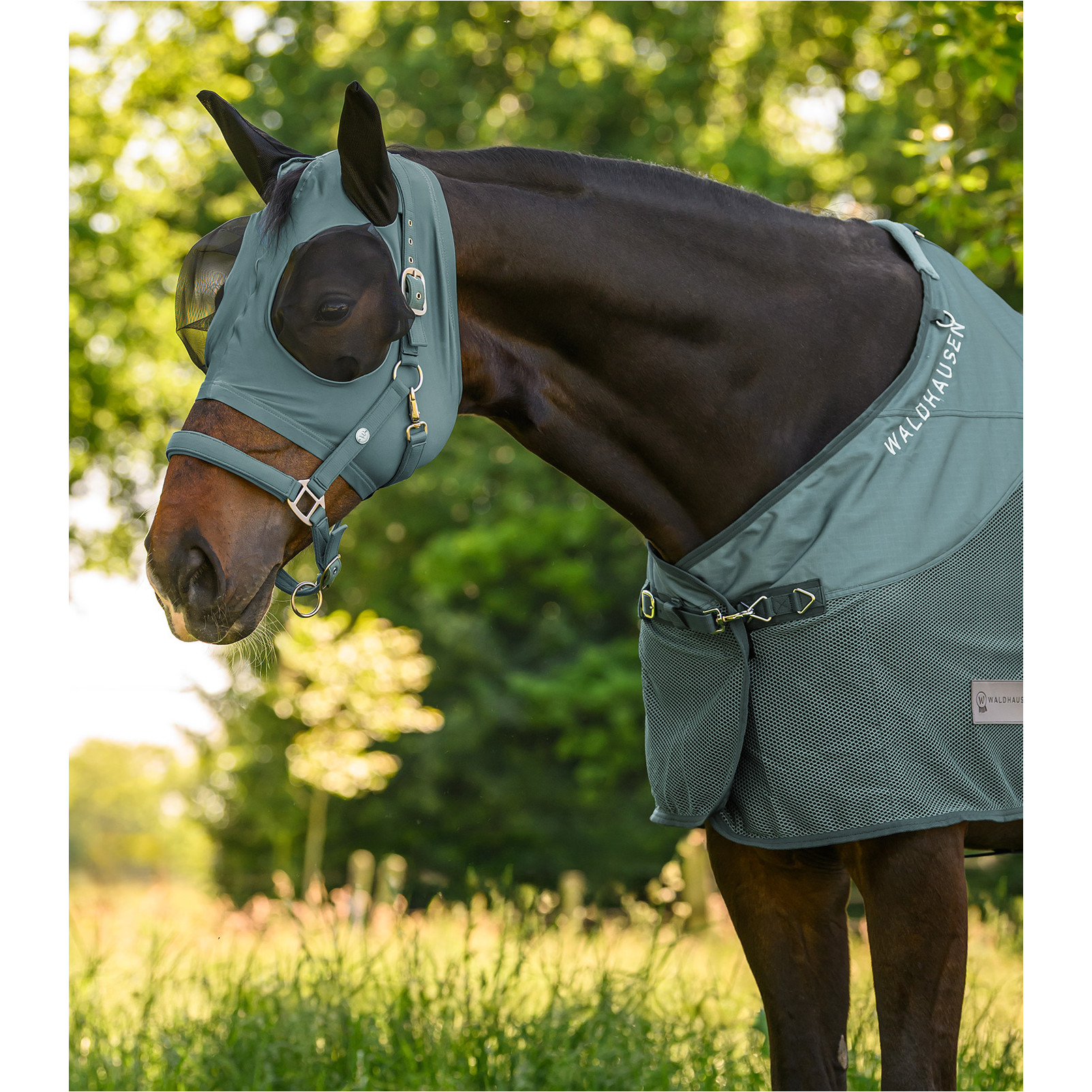 Fliegenmaske mit Reißverschluss PUCK piniengrün Fliegenmaske mit Reißverschluss PUCK piniengrün