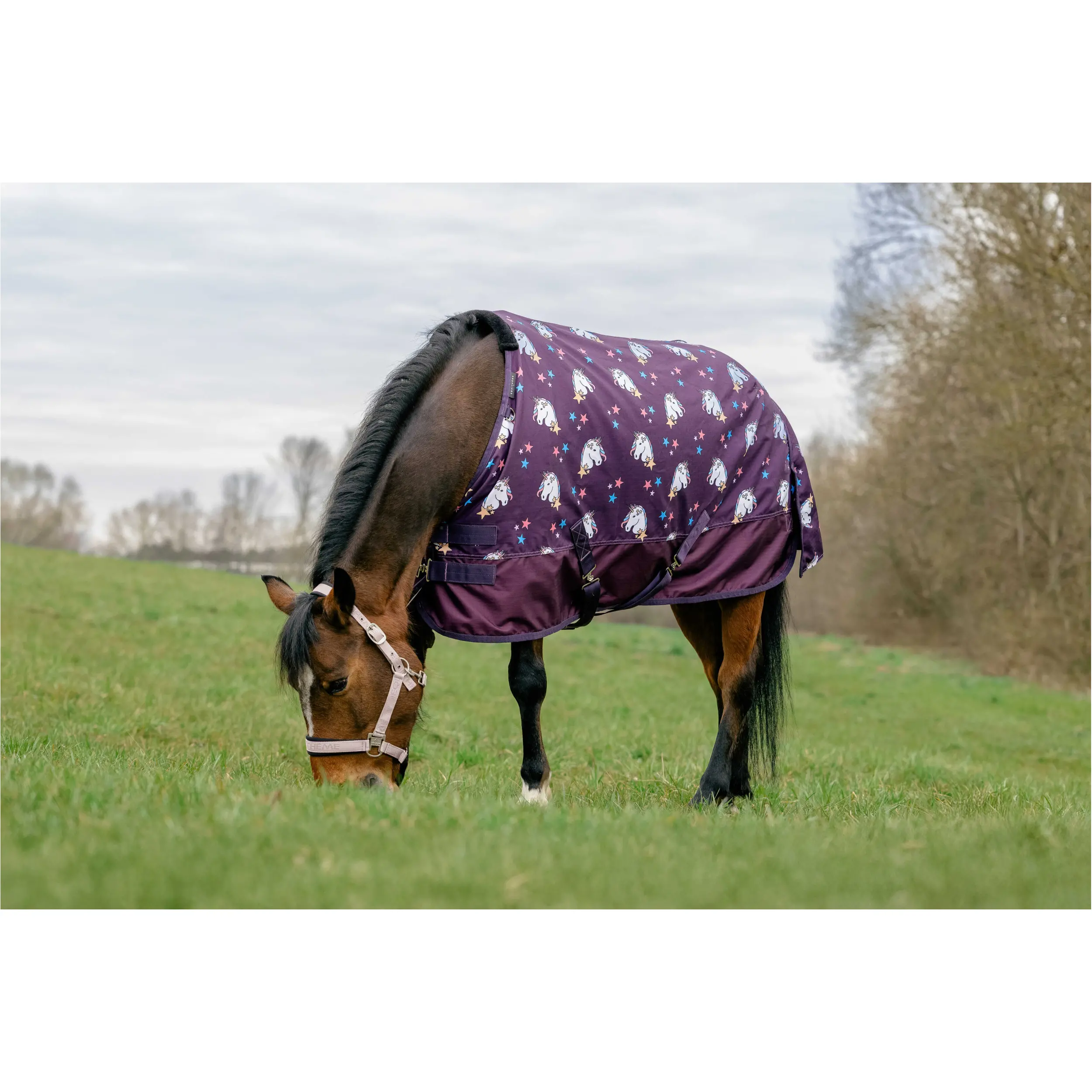 Outdoordecke 220g Füllung 600D LICORNE pflaumenfarben