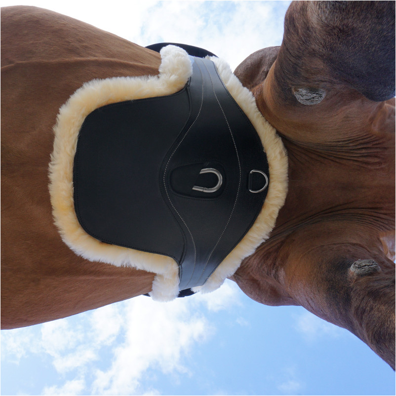 Sattelgurt Lammfell mit Bauchlatz und Elast EXCELLENCE braun