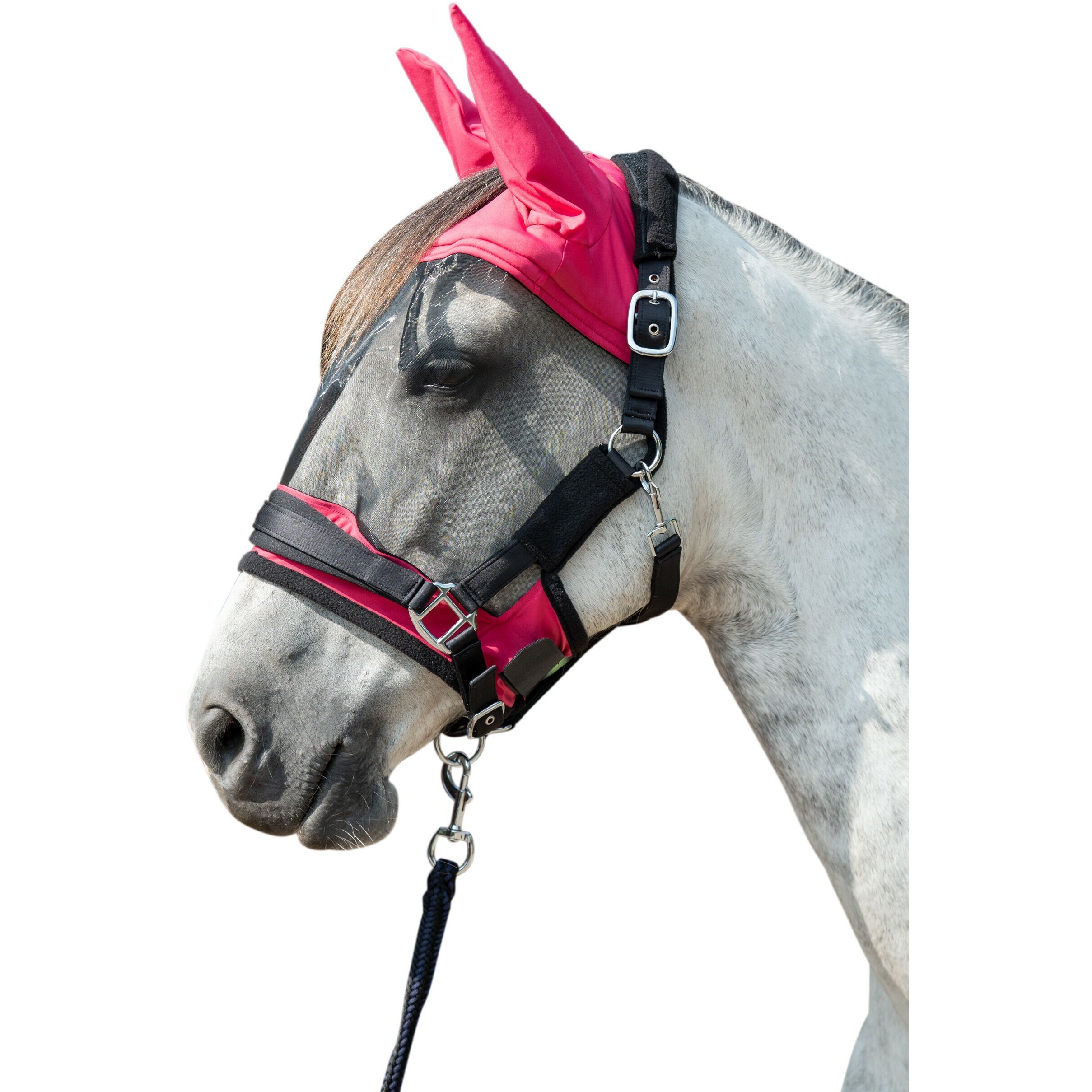 magenta