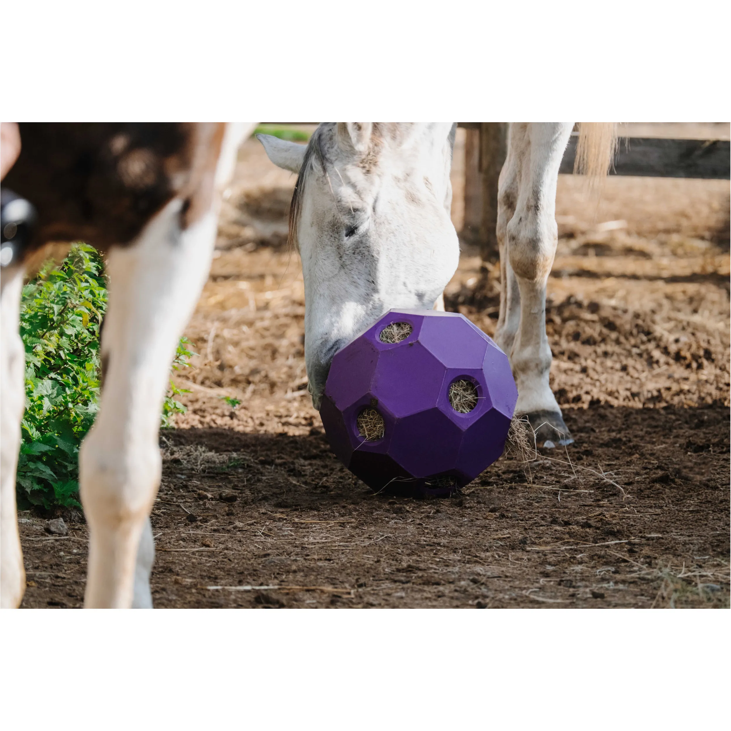 Slow-Feeder-Ball für Heu violett 42cm