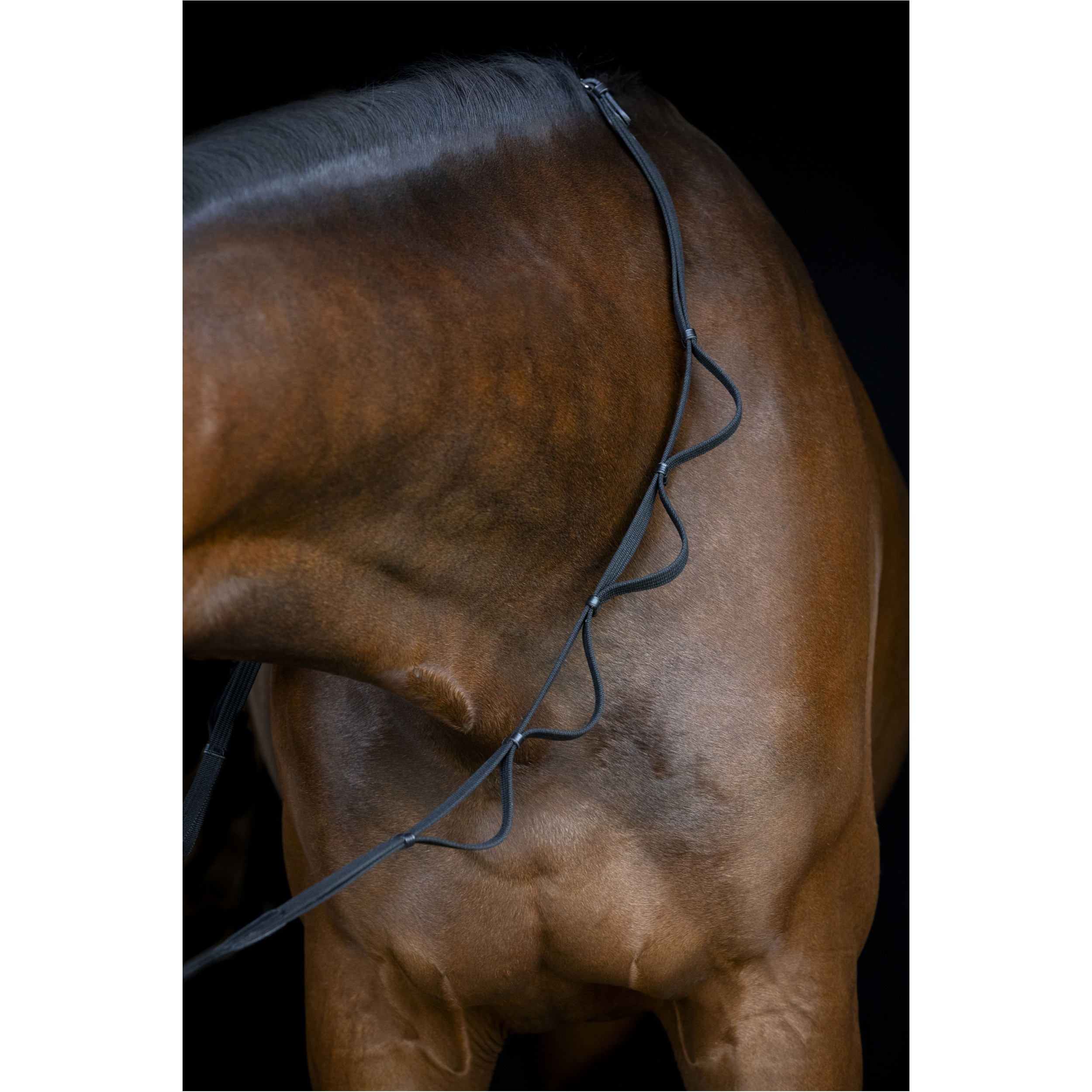 Zügel mit Schlaufen 16mm schwarz