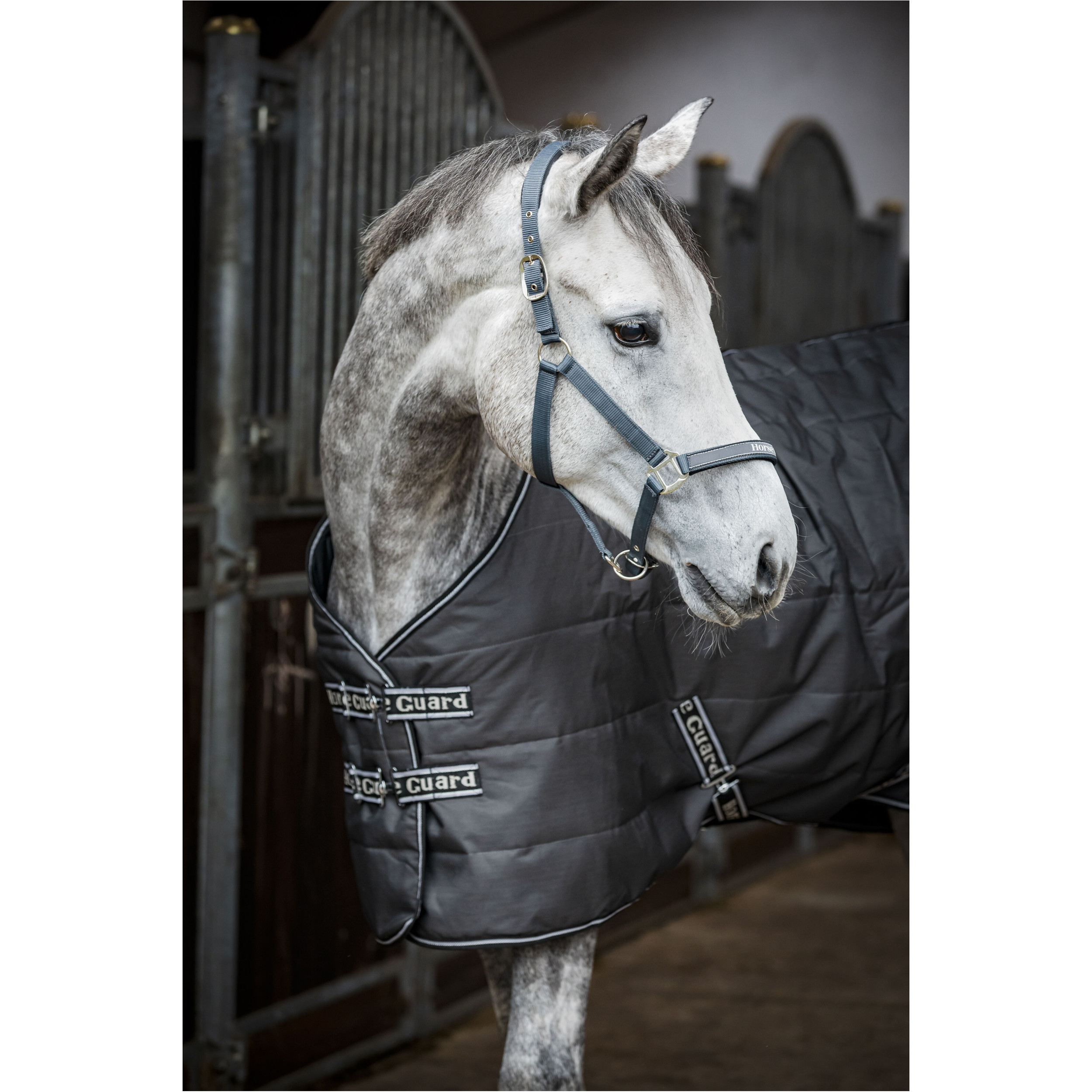 Stalldecke 300g Füllung SOPHIE asphalt 