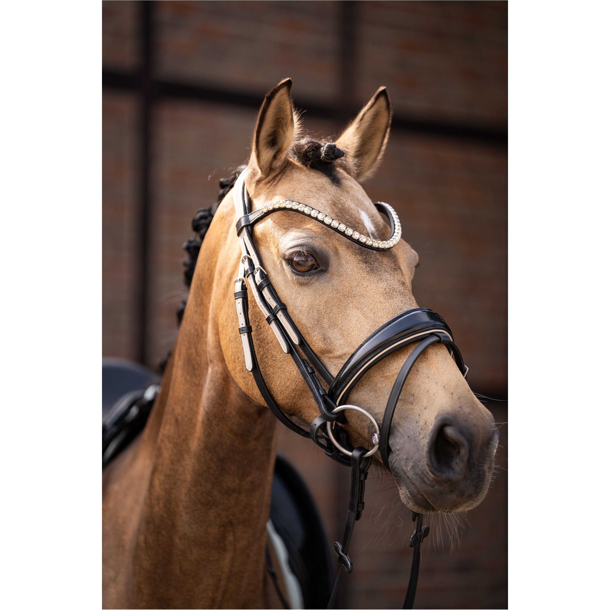 Trensenzaum mit schwedischem Reithalfter LIMONE ELEGANT schwarz/beige Trensenzaum mit schwedischem Reithalfter LIMONE ELEGANT schwarz/beige