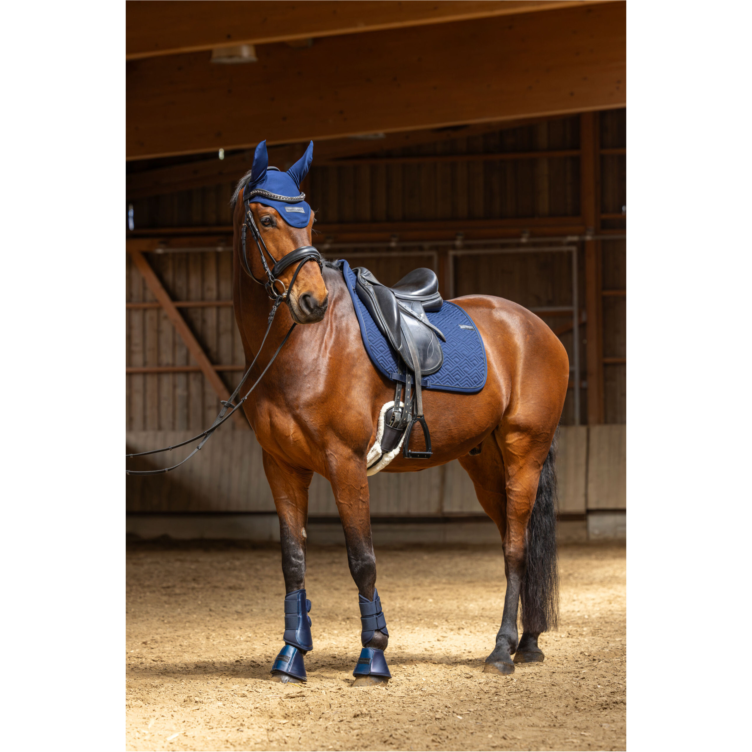 Fliegenhaube F/S 2026 dark navy