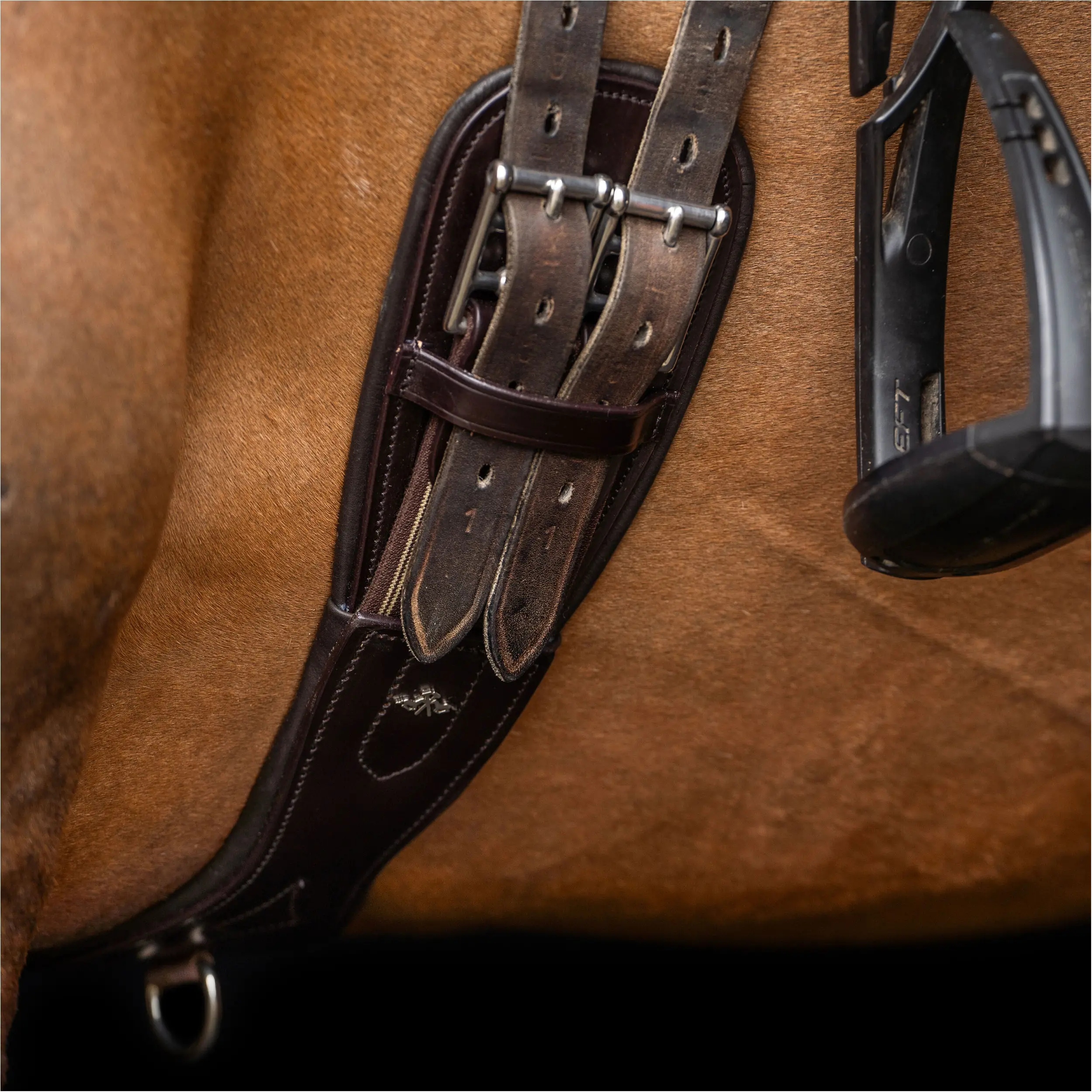 Dressurgurt HVPLegacy Echtleder chocolate brown Dressurgurt HVPLegacy Echtleder chocolate brown