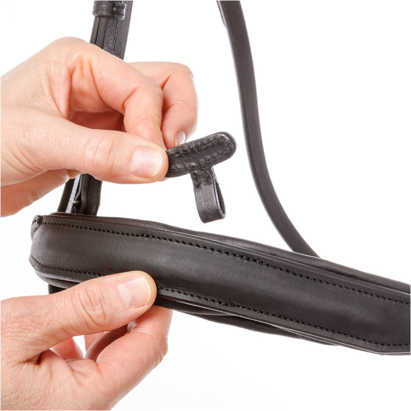 Trensenzaum englisch kombiniert EVERNESS Leder geölt schwarz