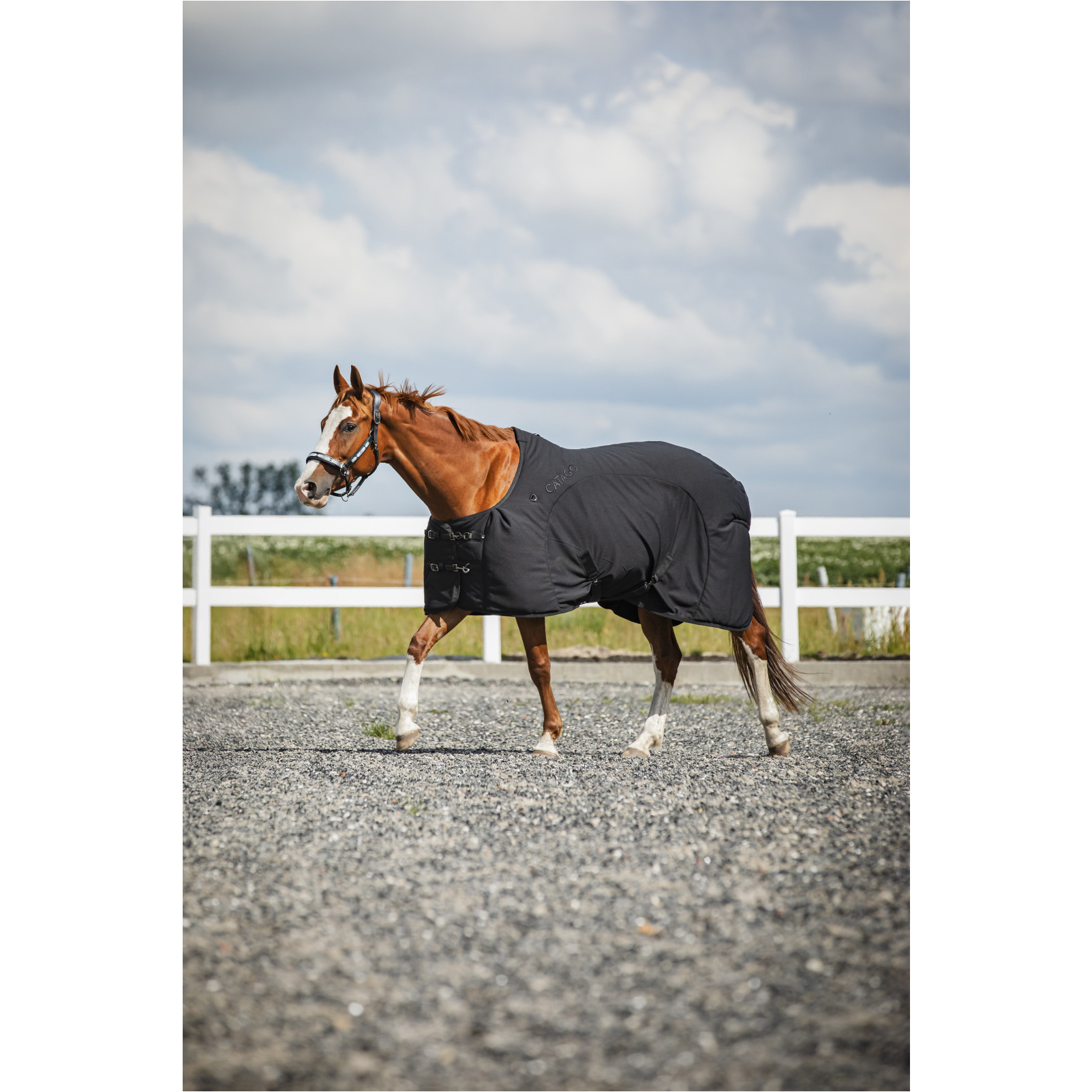 Decke FIR-Tech schwarz