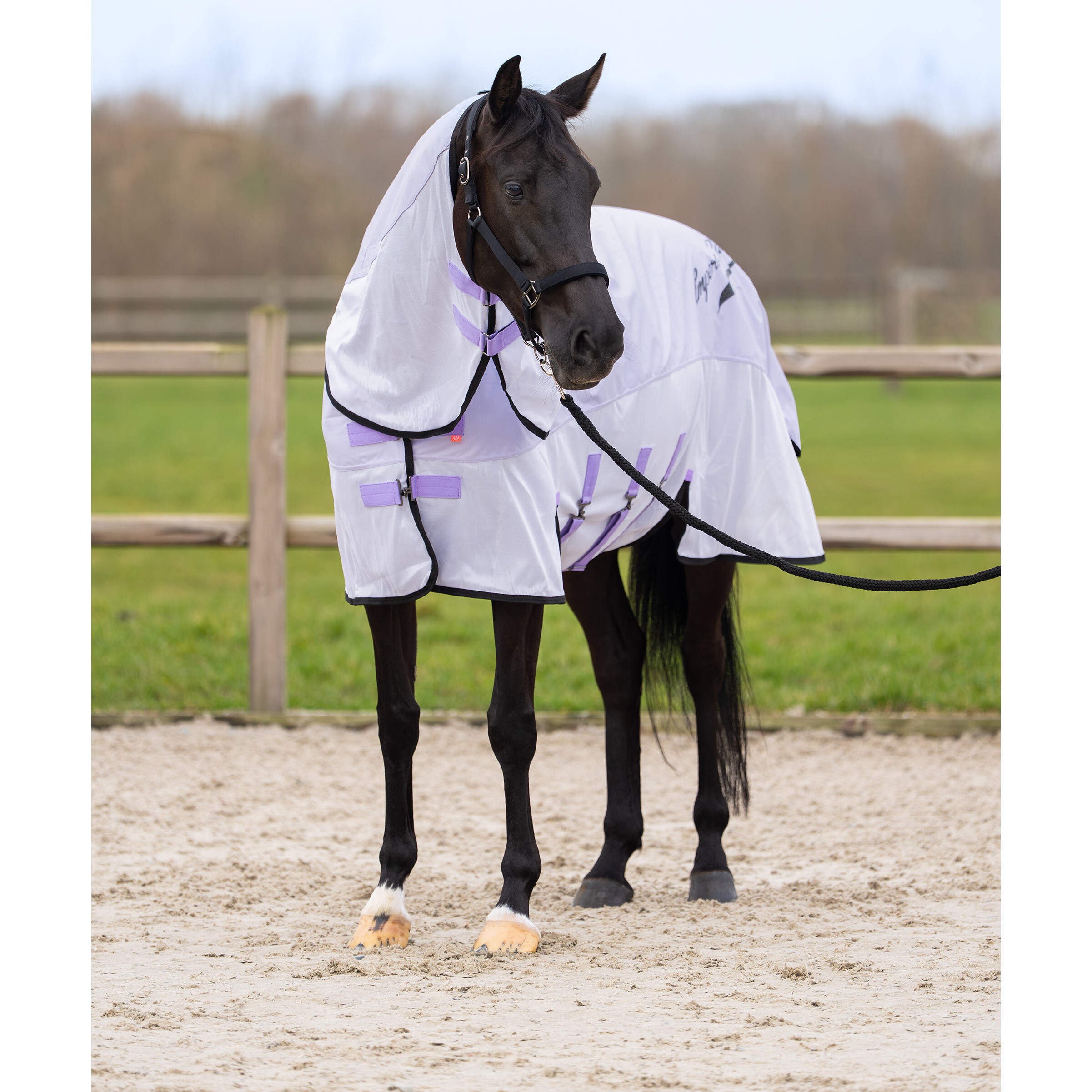 Halsteil Regen- & Fliegendecke 600D IRHSuper-dry wisteria
