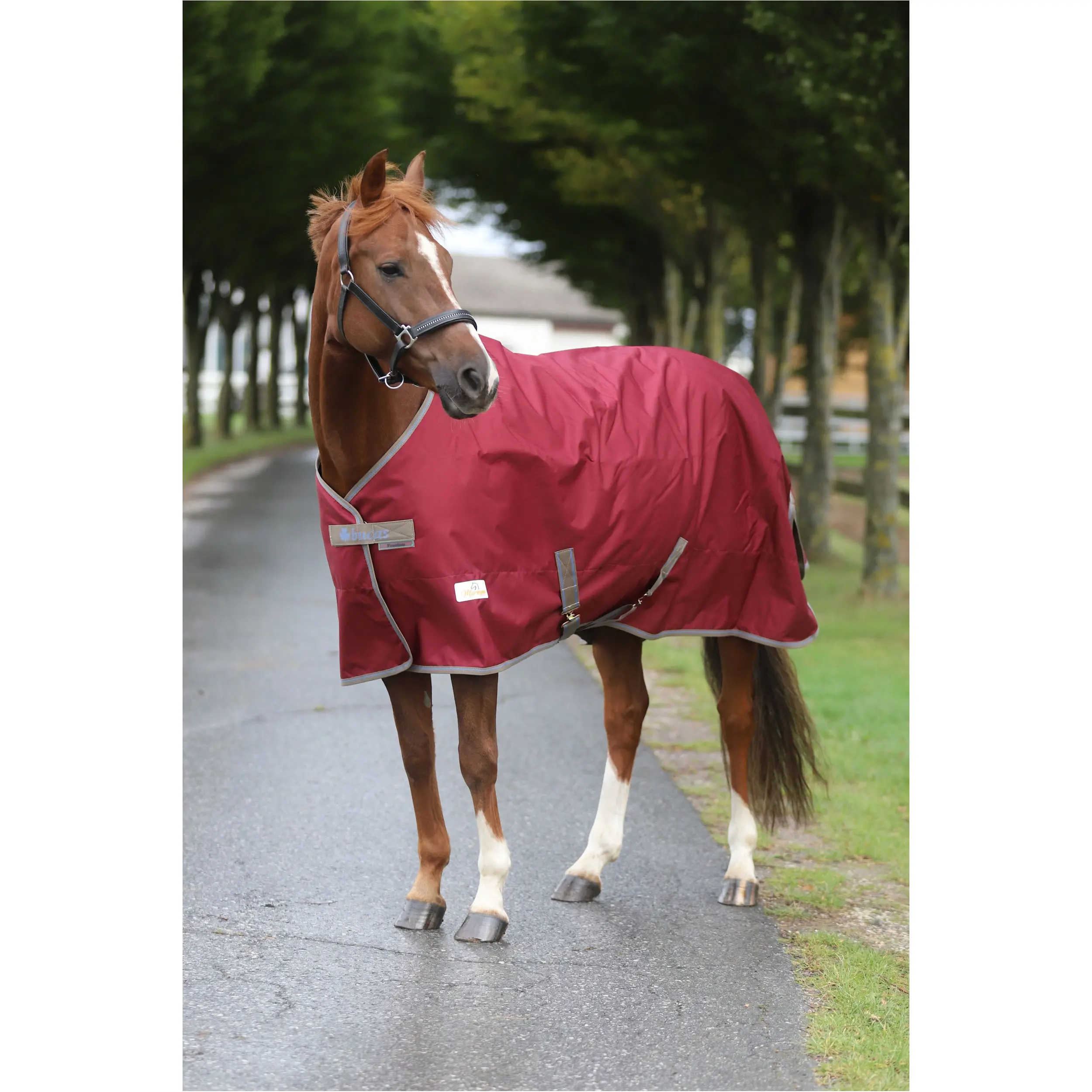 Weidedecke 600D FREEDOM TURNOUT weinrot/beige Weidedecke 600D FREEDOM TURNOUT weinrot/beige