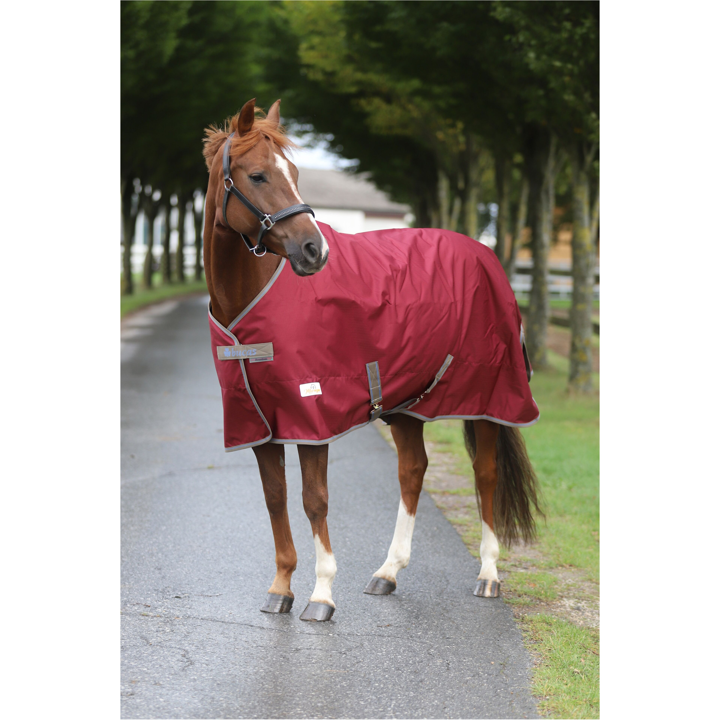 Weidedecke 600D FREEDOM TURNOUT weinrot/beige