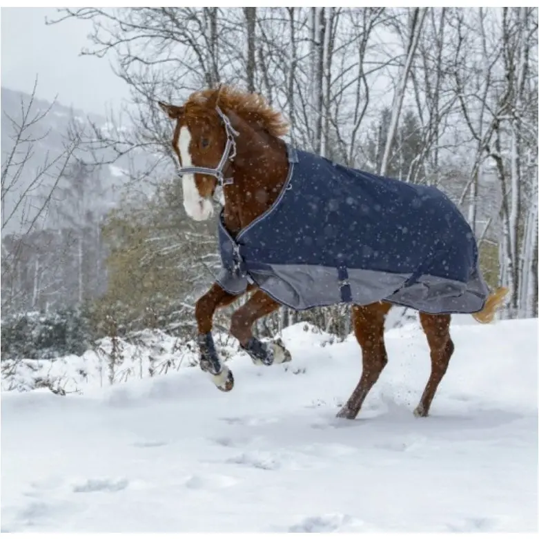 Winterdecke 450g Füllung 600D TYREX marineblau/grau Winterdecke 450g Füllung 600D TYREX marineblau/grau