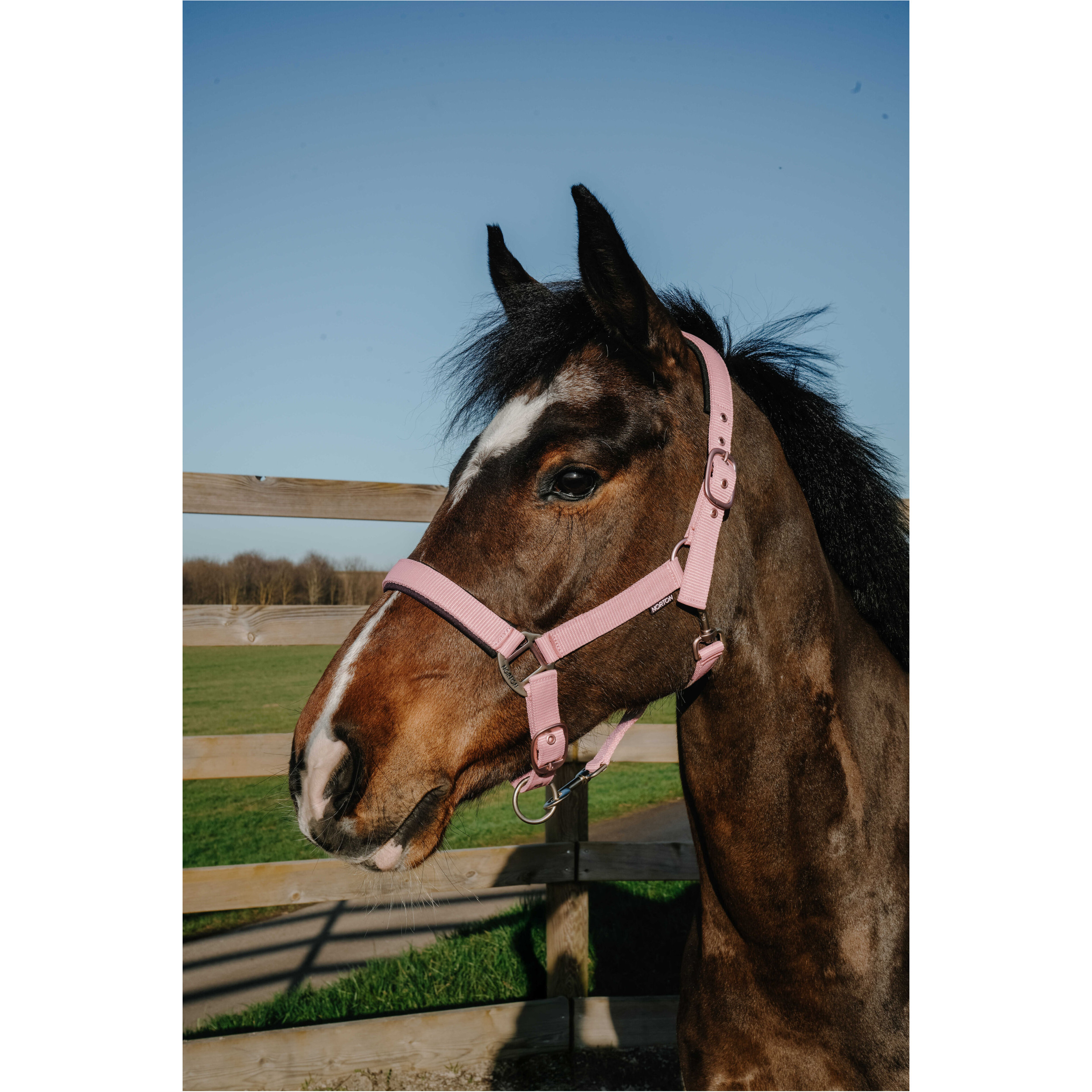 Halfter NACRE blassrosa