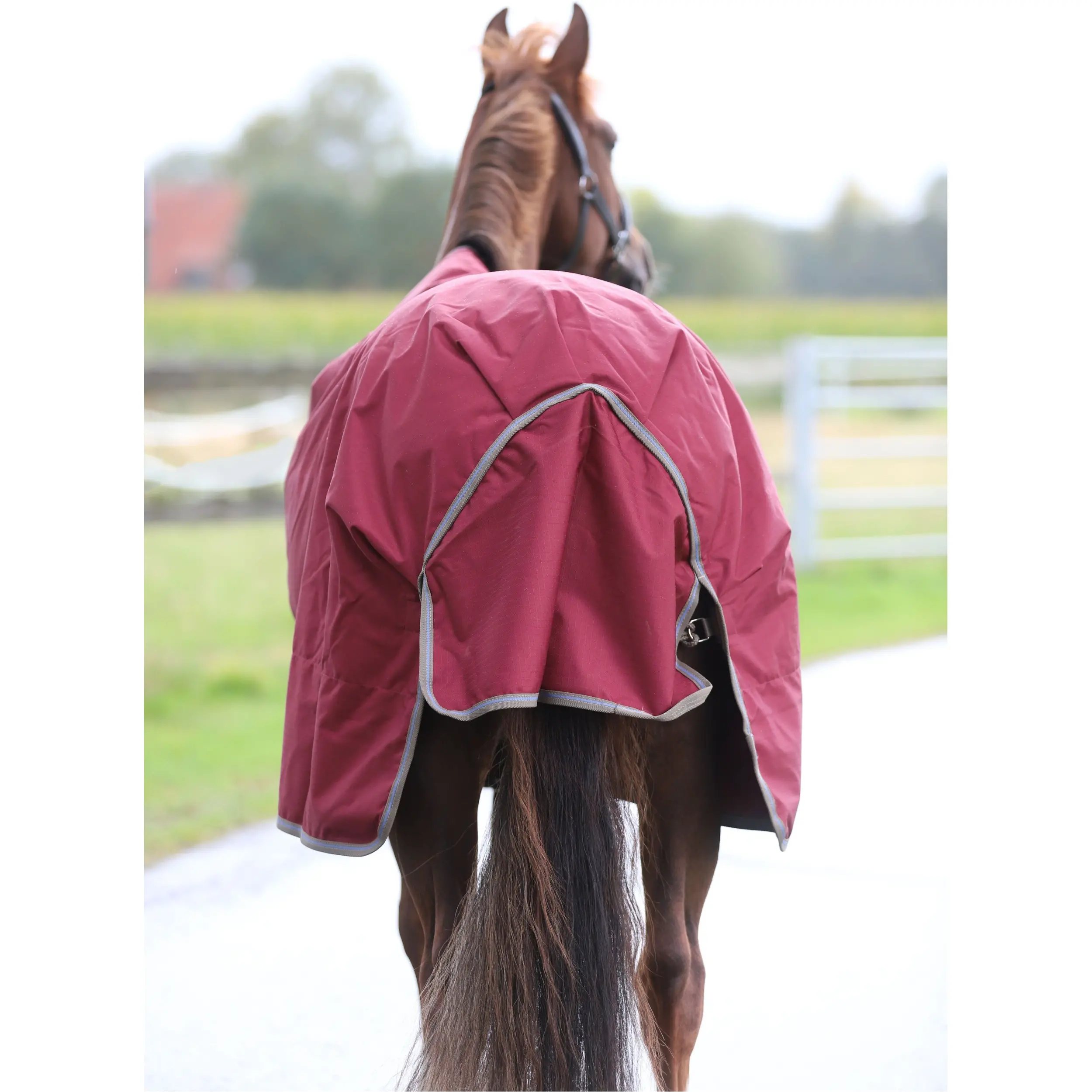 Winterdecke 150g Füllung 600D FREEDOM TURNOUT weinrot/beige Winterdecke 150g Füllung 600D FREEDOM TURNOUT weinrot/beige