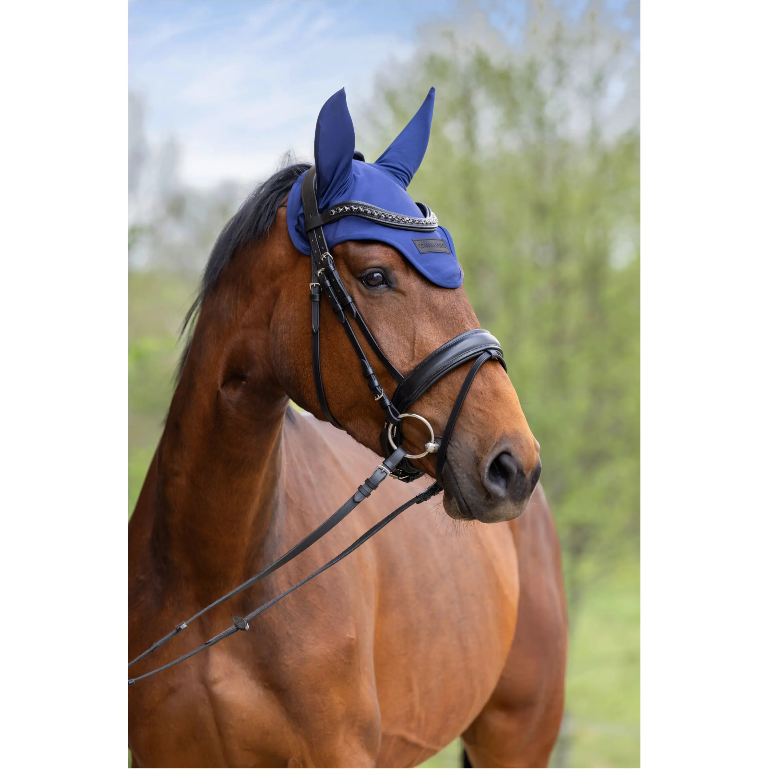 Fliegenhaube F/S 2026 dark navy