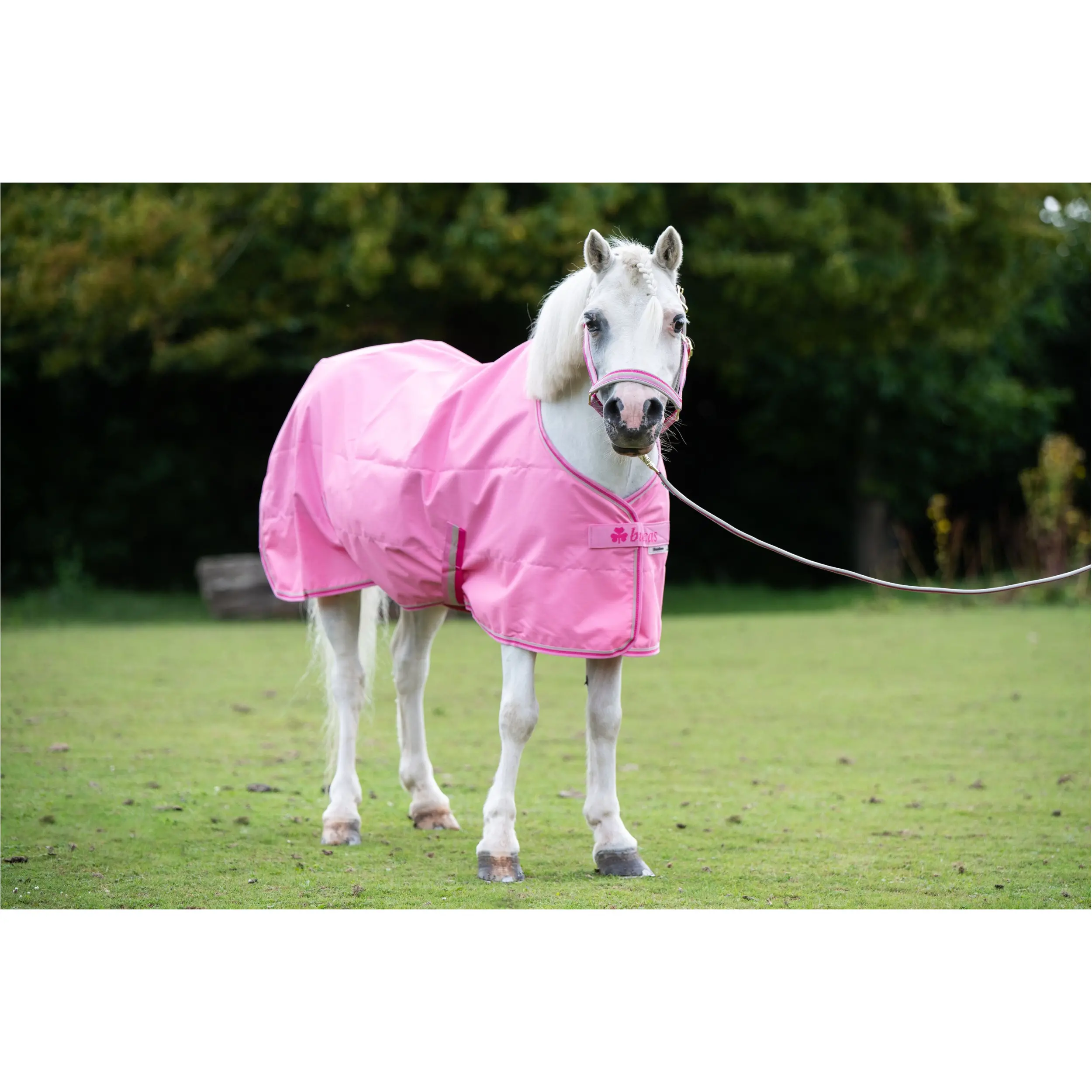 Regendecke Light FREEDOM TURNOUT aurora pink