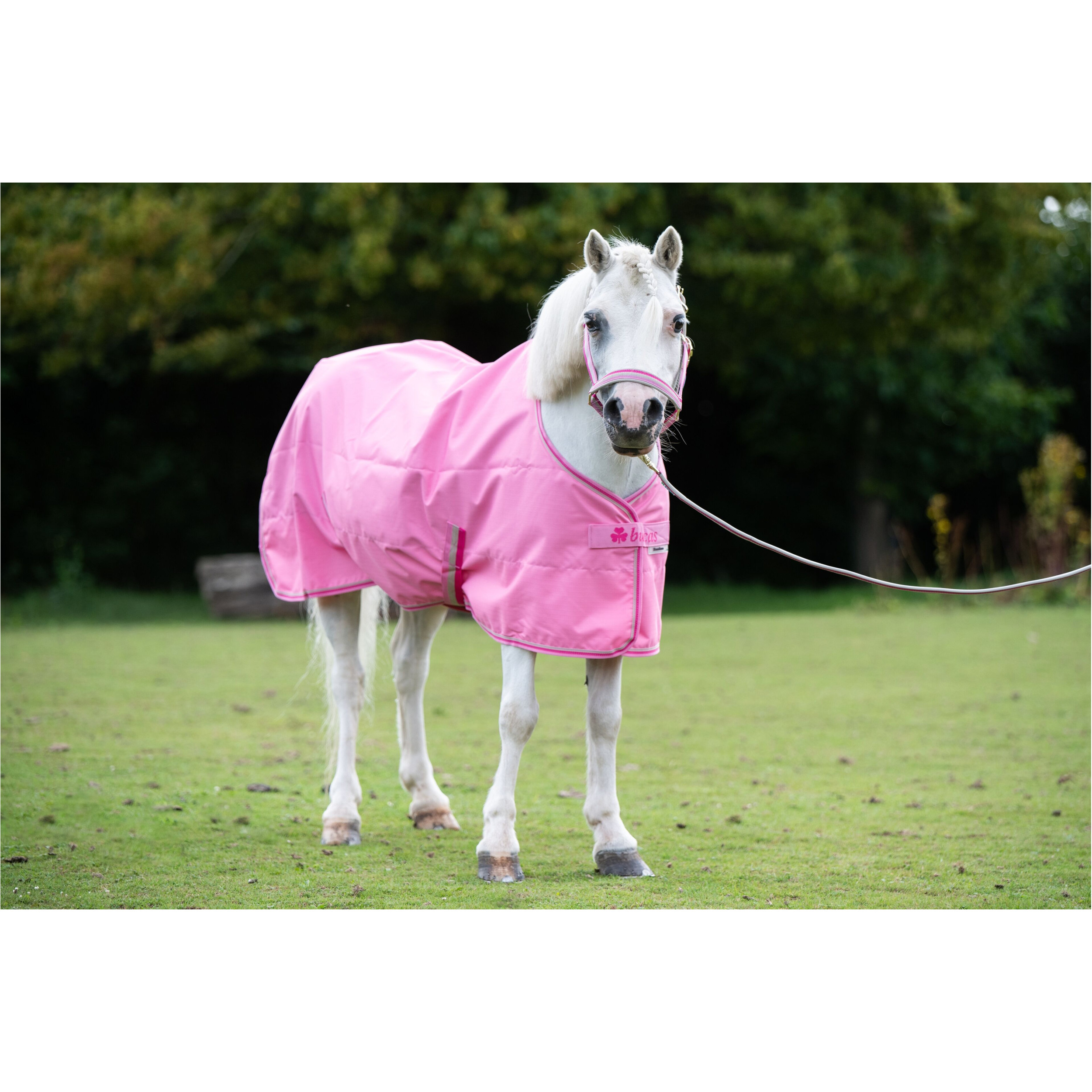 Regendecke Light FREEDOM TURNOUT aurora pink