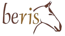 BERIS BERIS
