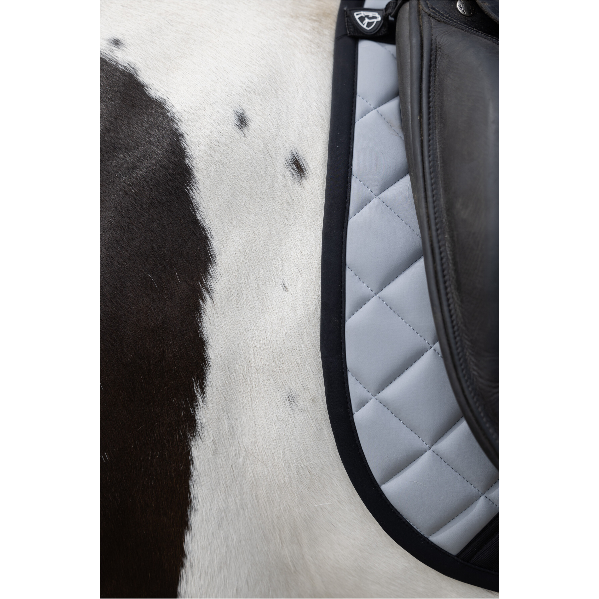 Island Satteldecke FIR-Tech GRAND 2.0 ICELANDIC monument