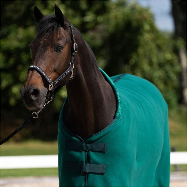 Abschwitzdecke HVPNena duck green