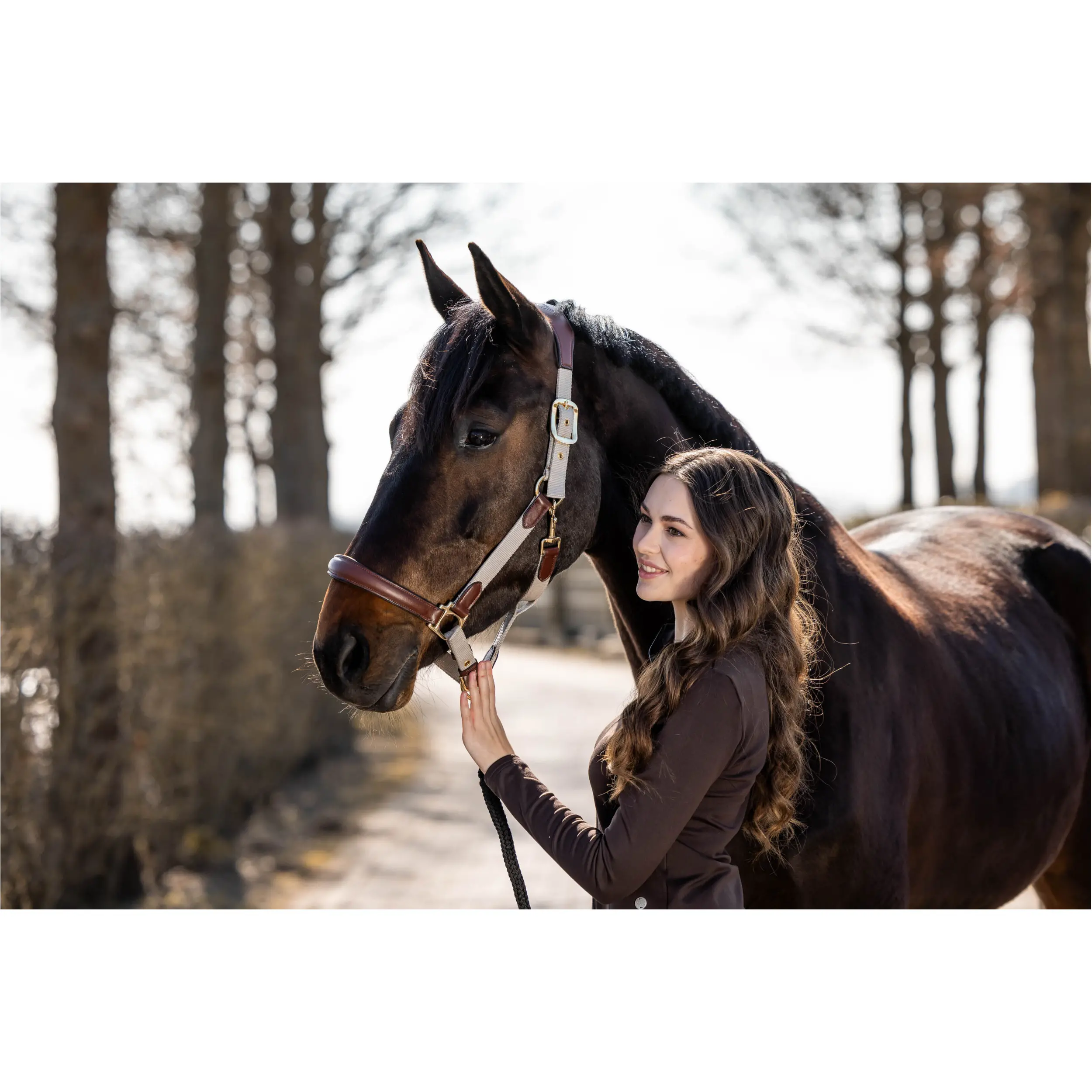 Halfter LUNA beige/braun Halfter LUNA beige/braun